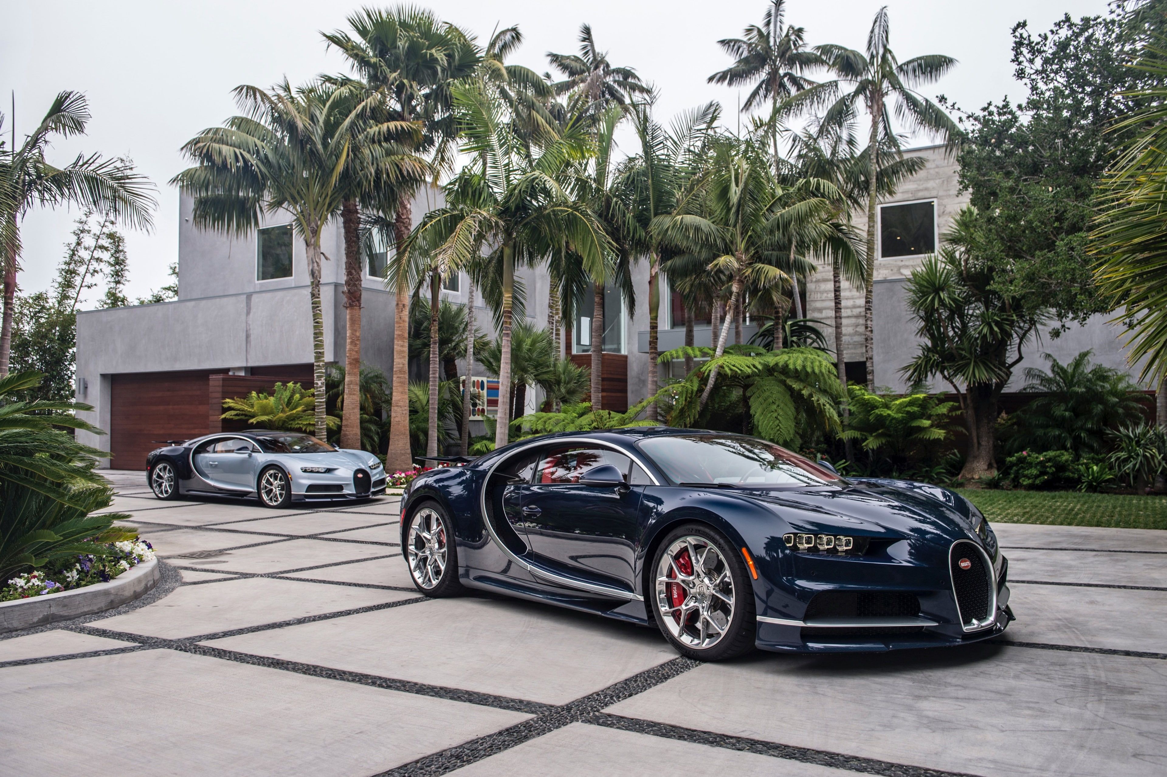 3840x2557 Wallpaper / bugatti chiron 4k hq download, transportation, 4K, architecture, outdoors, tree, nature, tropical climate, coconut palm tree, growth, palm tree, plant free download