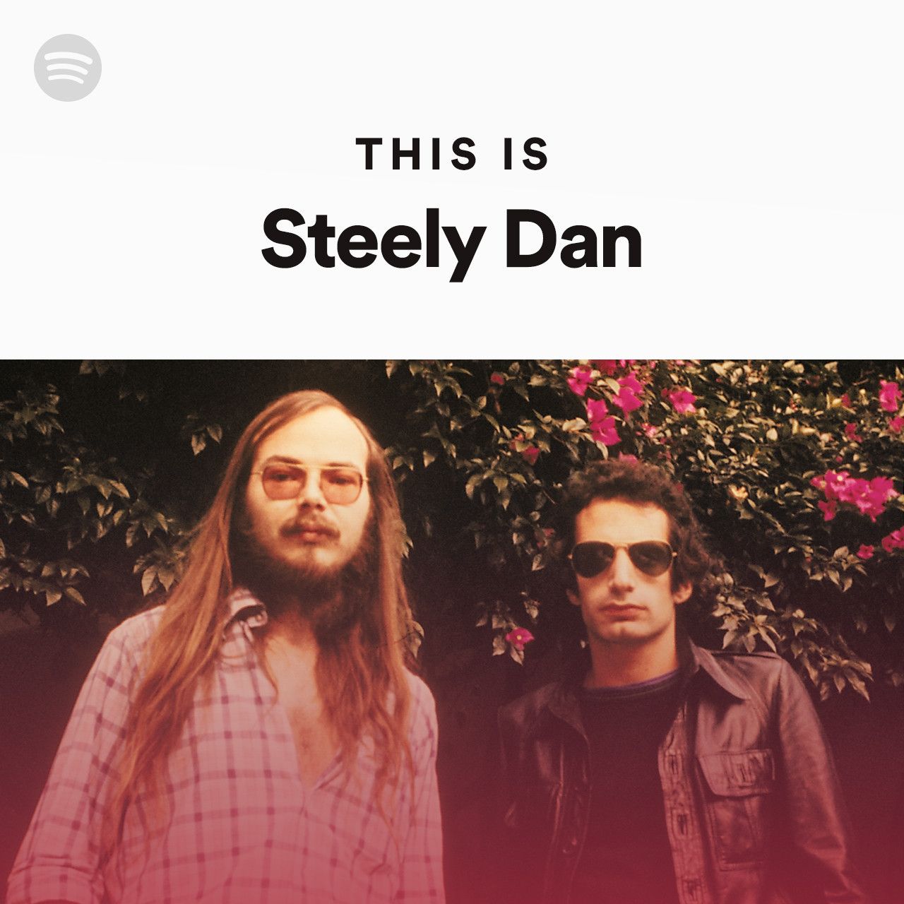 Steely Dan Wallpapers Top Free Steely Dan Backgrounds WallpaperAccess