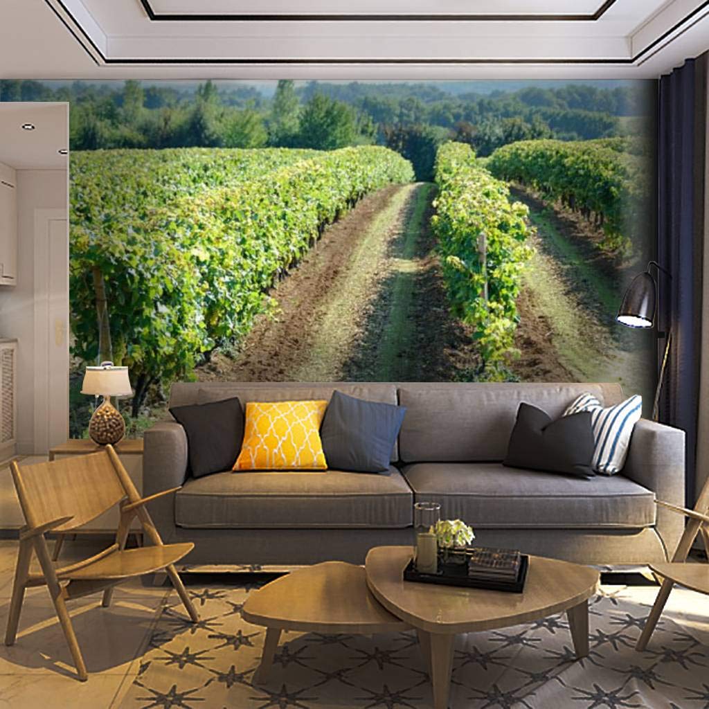 1024x1024 Wallpaper Wall Mural Grape Vines in a Vineyard Near Cognac French Countryside Stock Self Adhesive Removable Peel & Stick Wall Decor Home Craft Wall Decal Wall Poster Sticker for Living Room