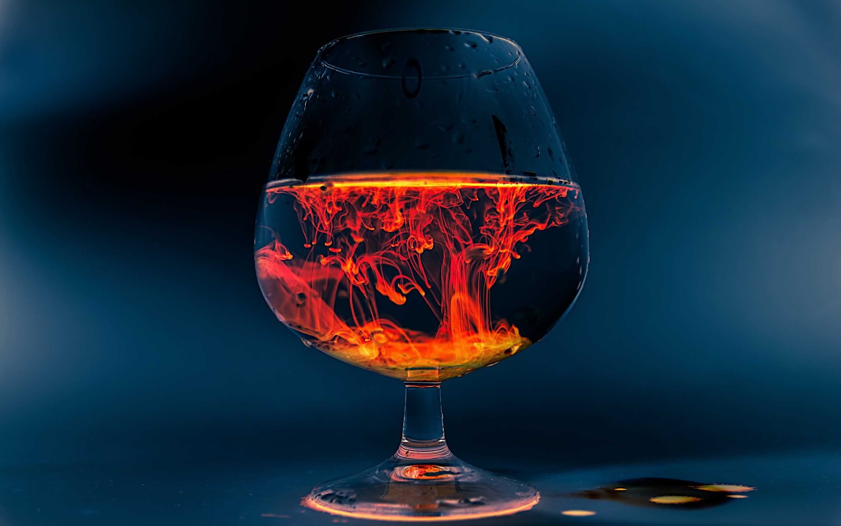 2880x1800 Wallpaper / Background, Close Up, Cognac, Glass, 2K, Close Free Download
