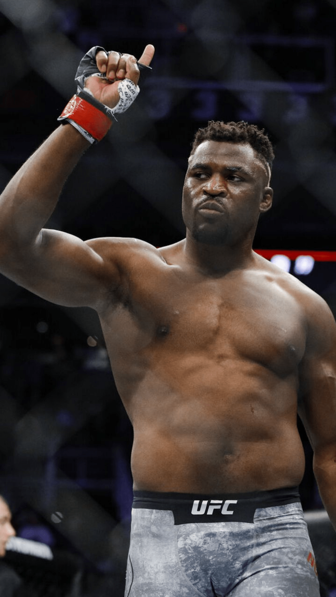 1080x1920 UFC Heavyweight Francis Ngannous Earth Shattering Knockouts
