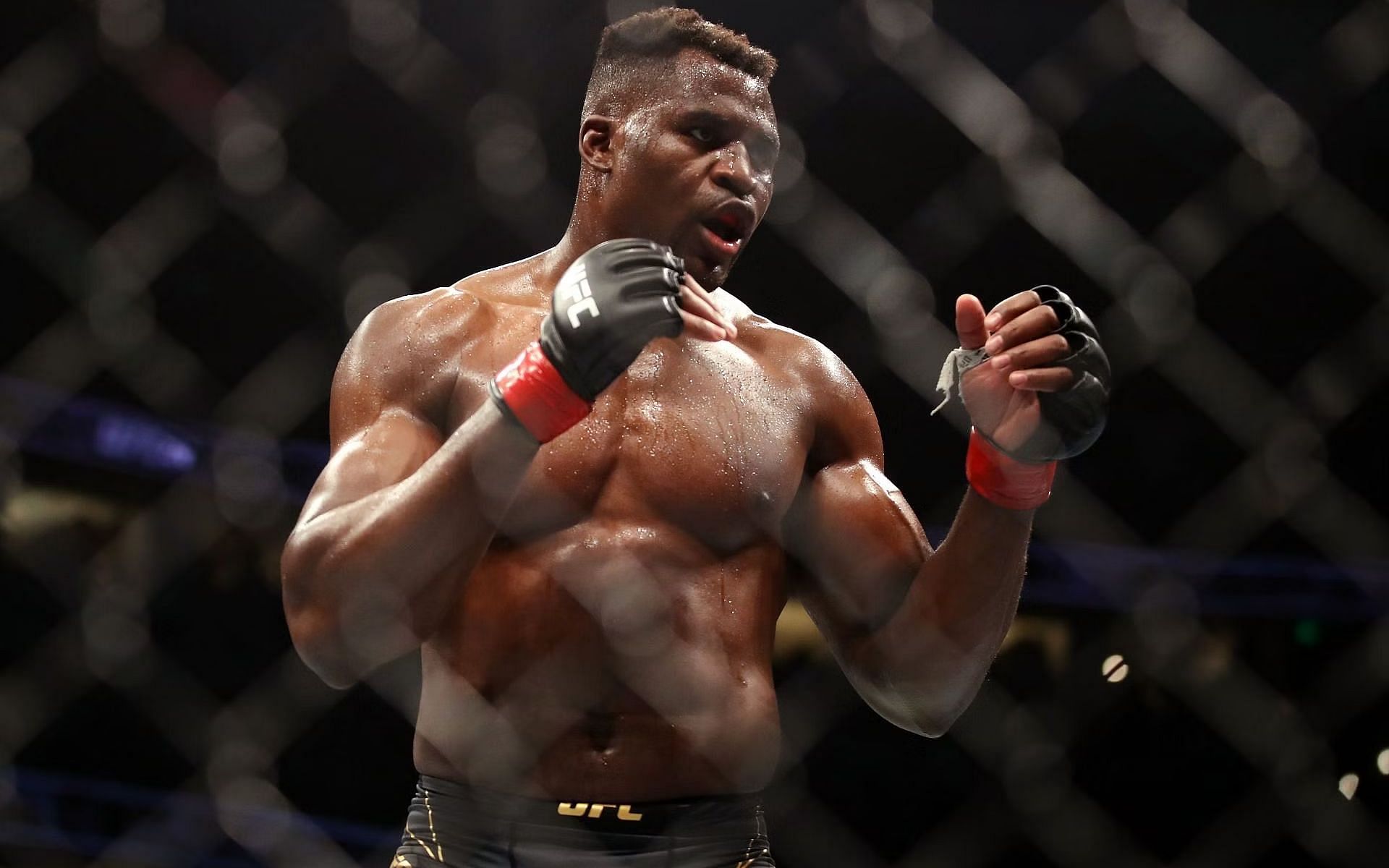 1920x1200 Patient Francis Ngannou ready to wait like cat waiting for mouse for boxing opportunities