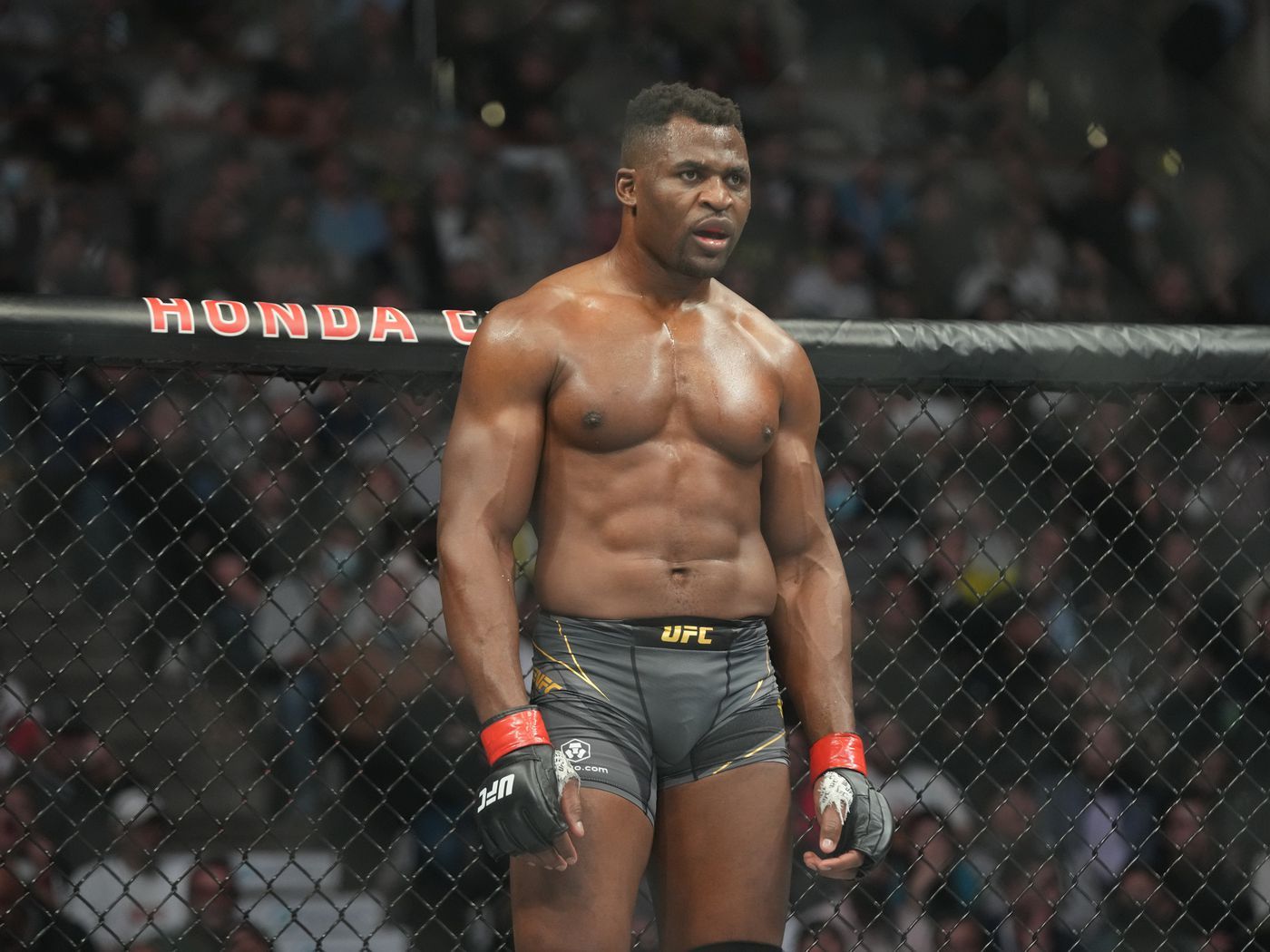 Francis Ngannou Wallpapers - Top Free Francis Ngannou Backgrounds ...