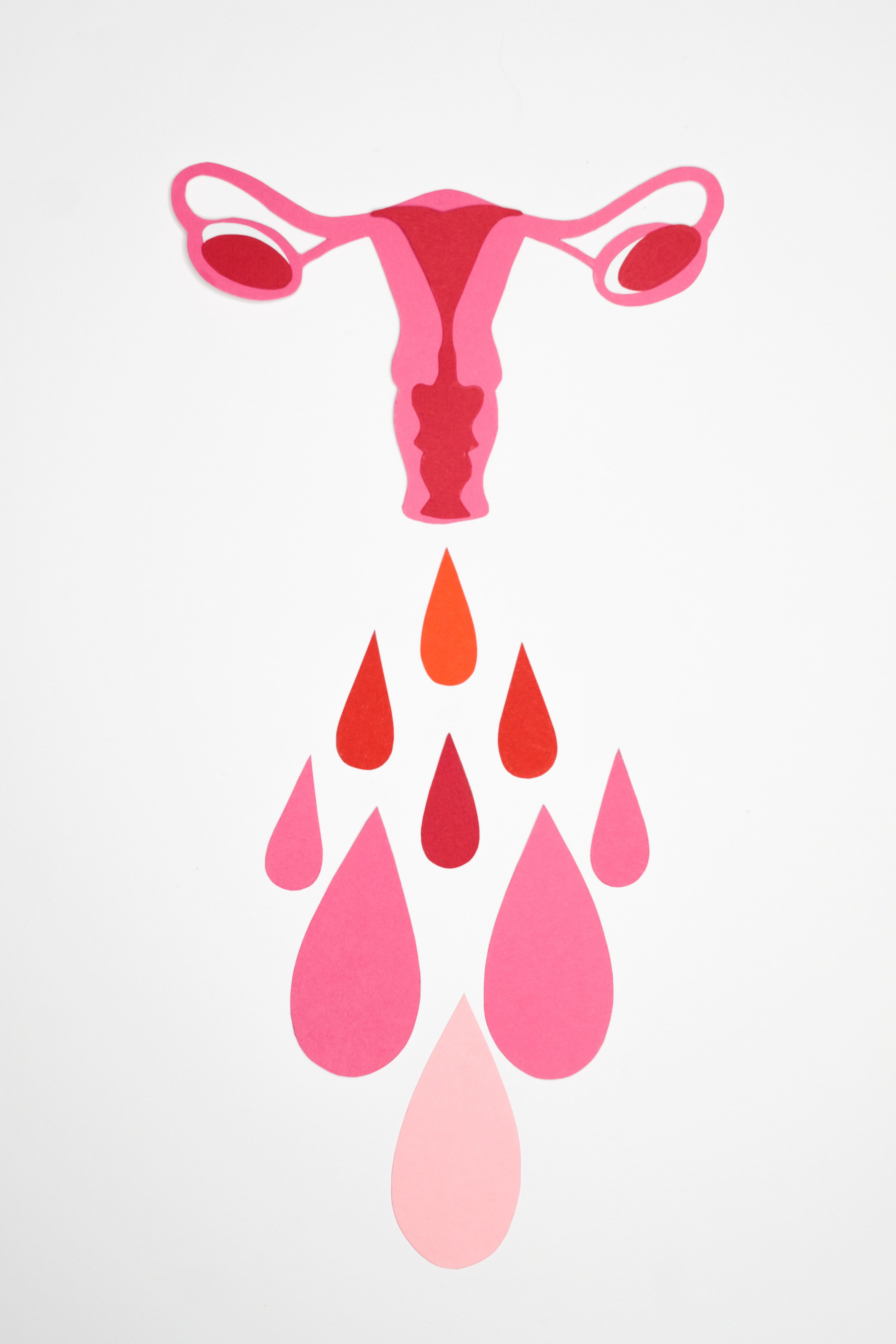 4000x6000 Uterus Photo, Download The BEST Free Uterus & HD Image