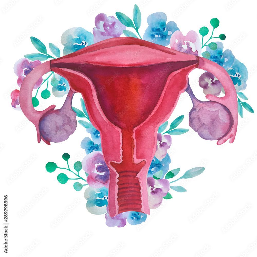 Uterus Wallpapers - Top Free Uterus Backgrounds - WallpaperAccess