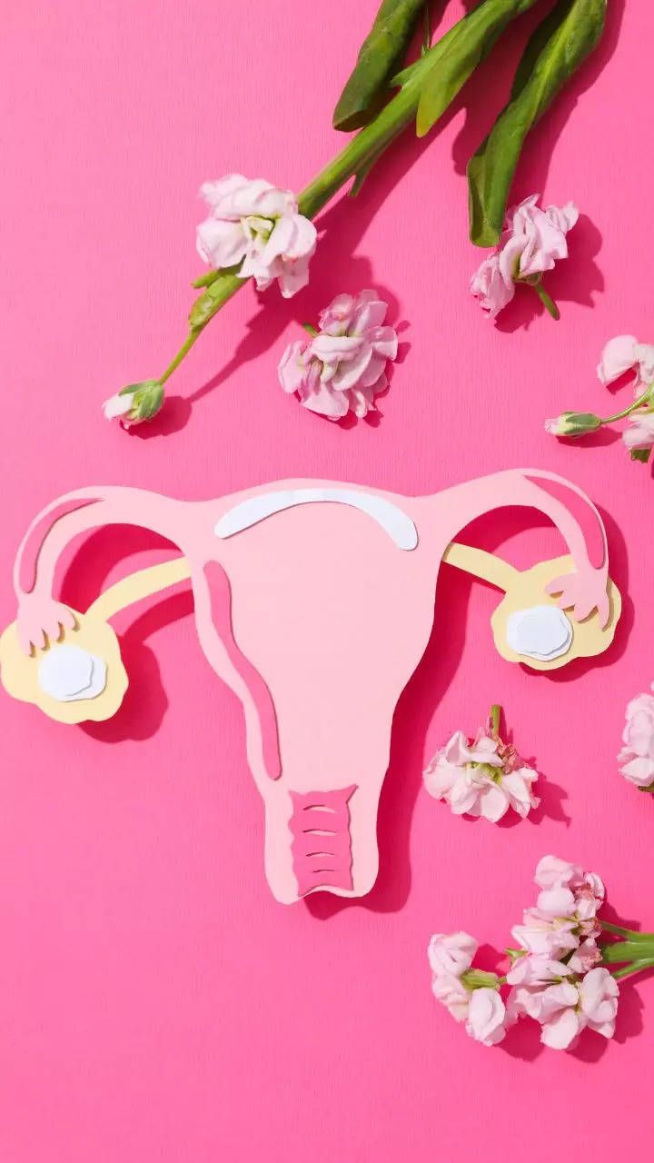 Uterus Wallpapers - Top Free Uterus Backgrounds - WallpaperAccess