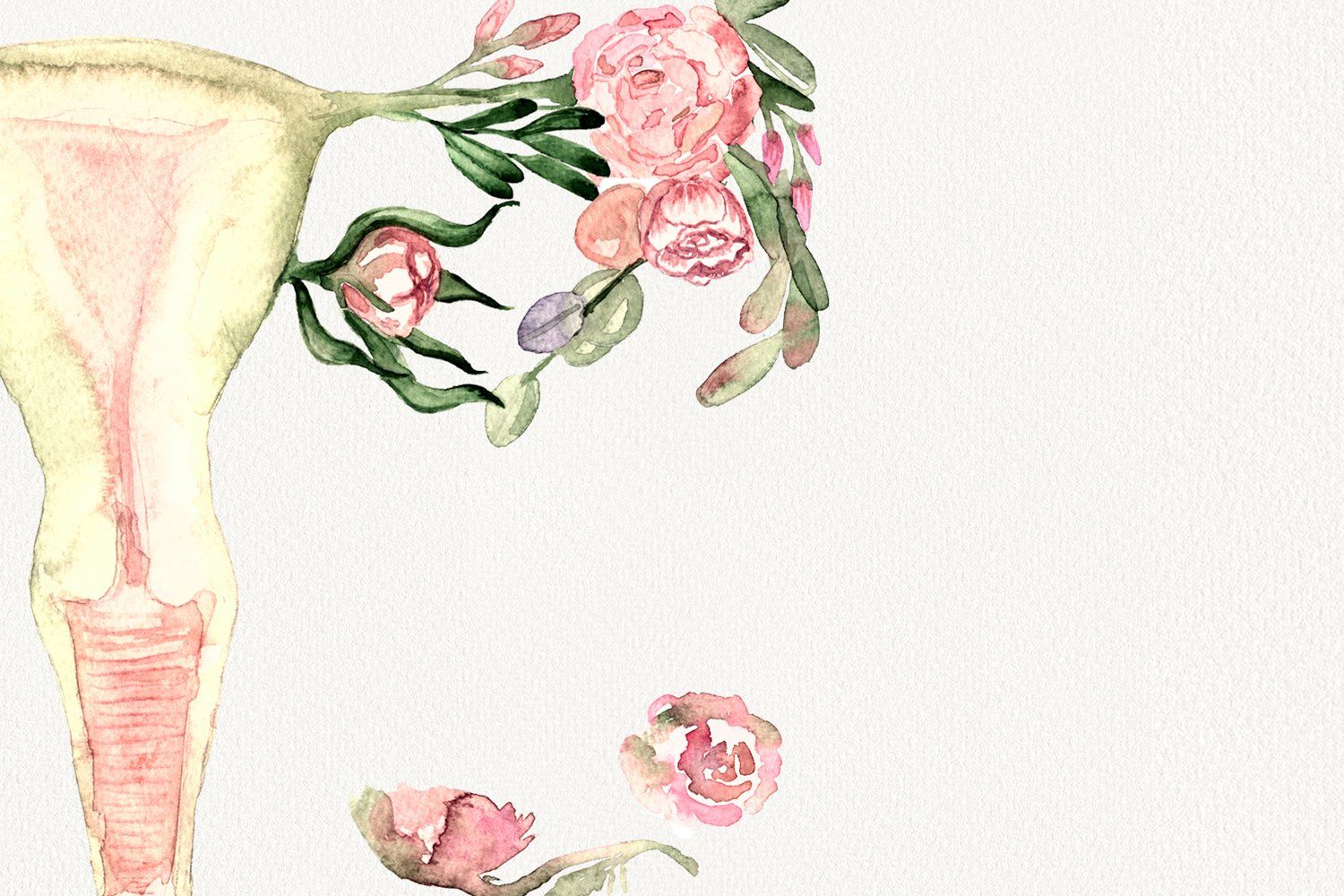 1500x1000 Watercolor uterus with flowers png, feminist