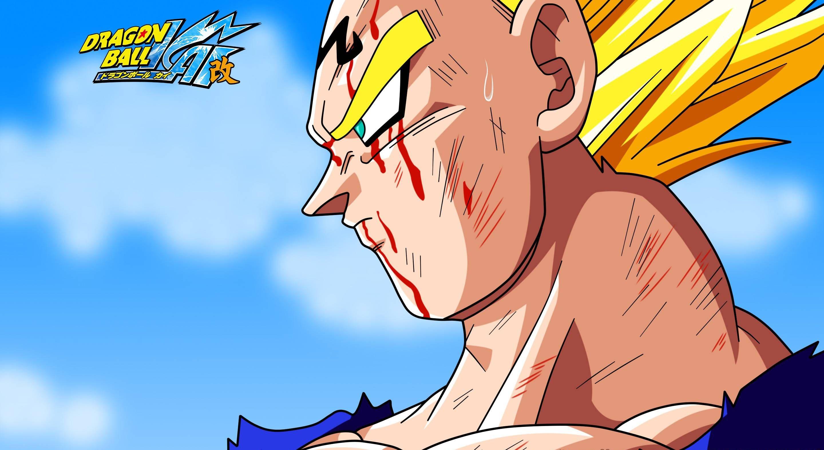 Vegeta All Forms Wallpapers - Top Free Vegeta All Forms Backgrounds ...