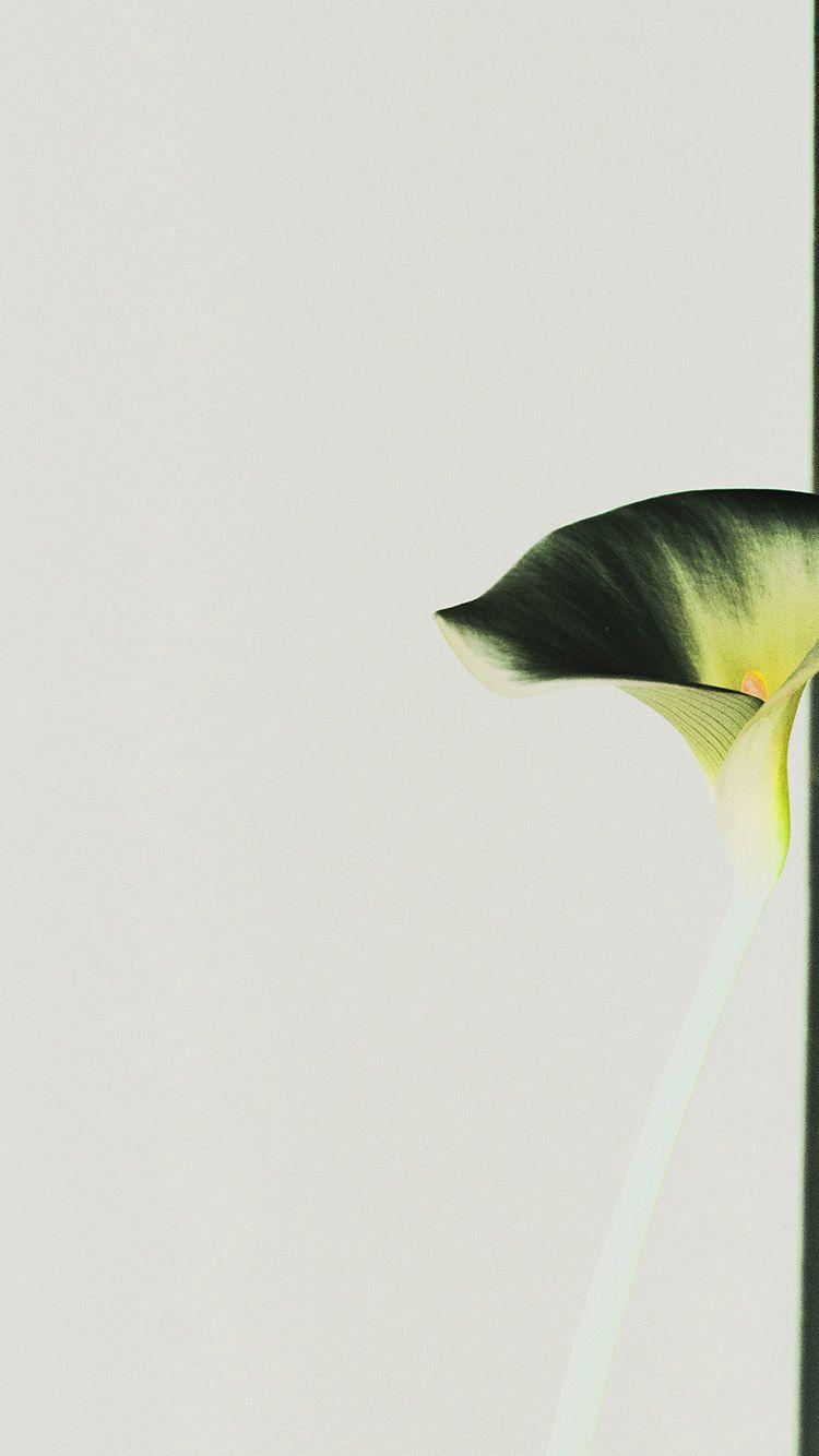 750x1334 iPhone 6 wallpaper. lily flower minimal