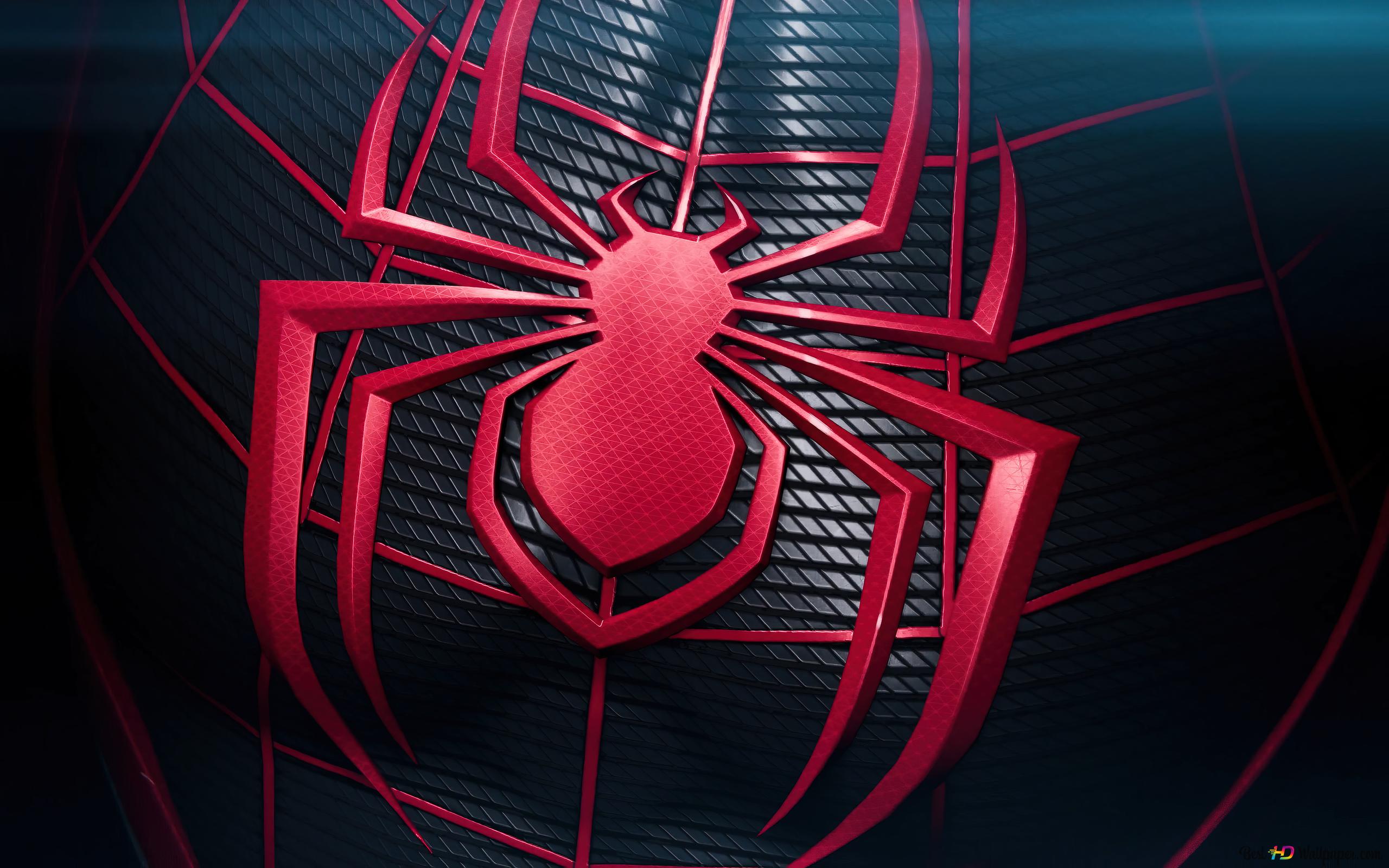 2560x1600 Marvel's Spider Man 2 Man Black Suit 4K wallpaper download