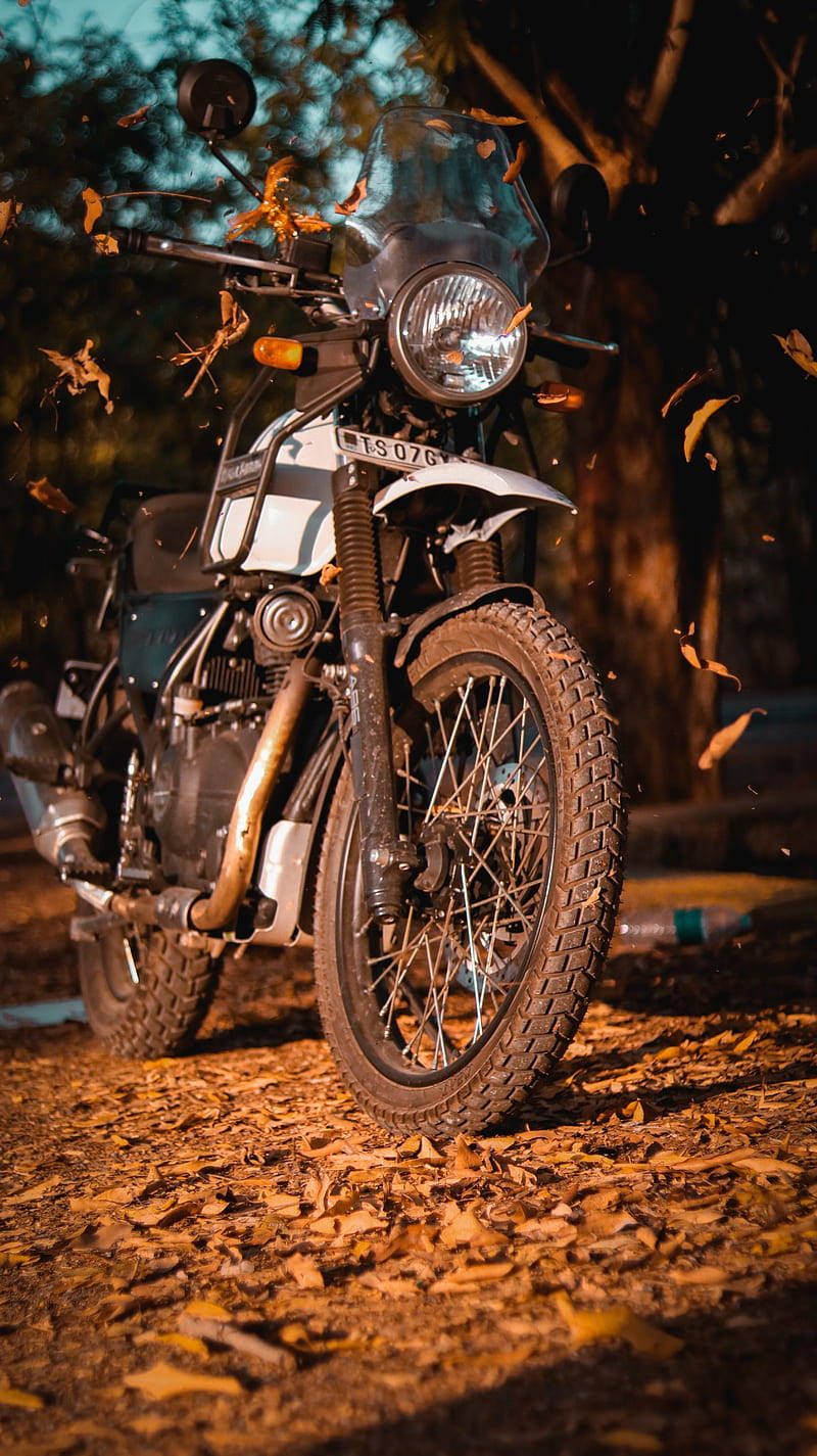 800x1425 Download Aesthetic Himalayan Bike Photo Wallpaper