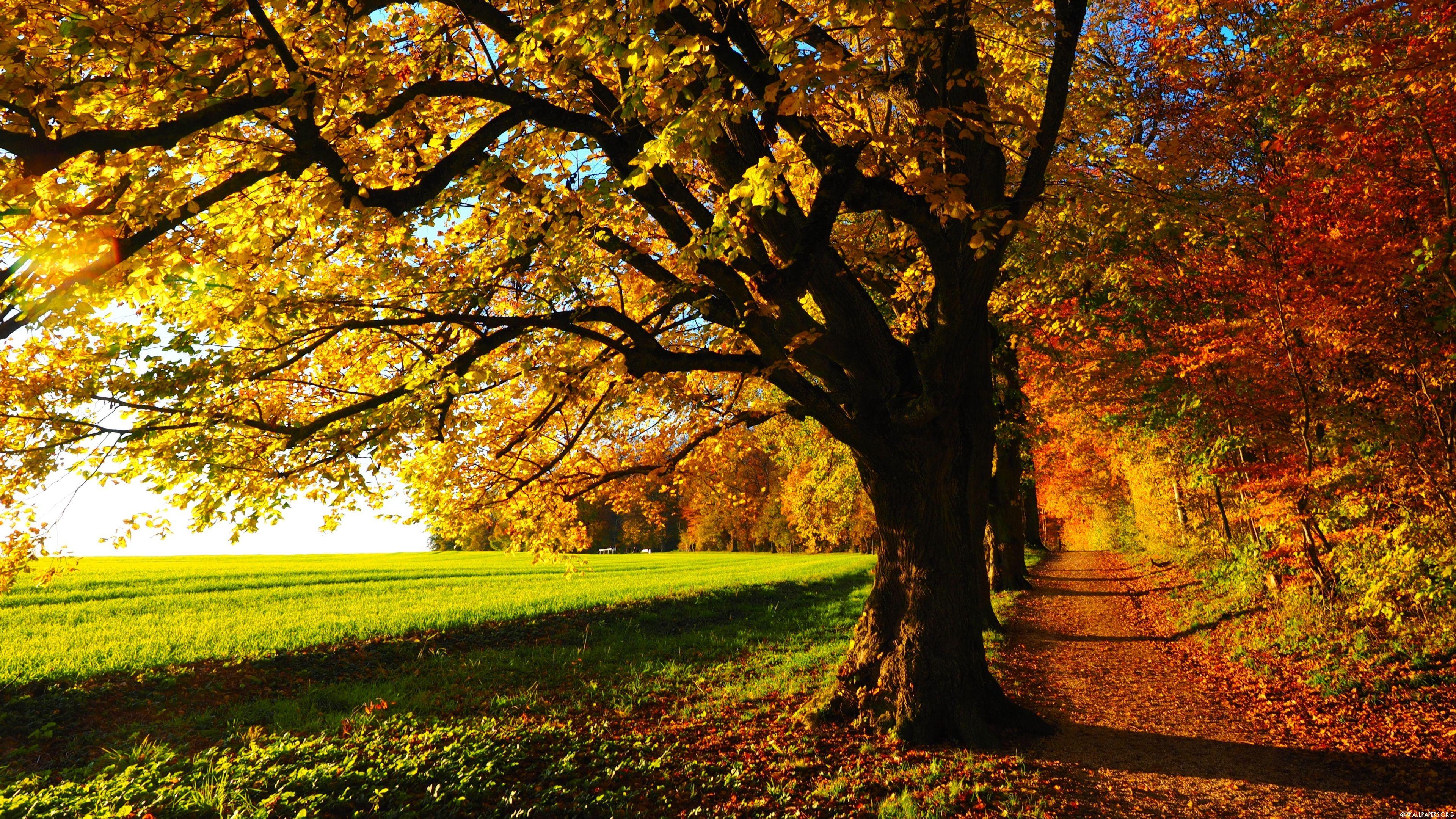 3840x2160 Autumn scenery wallpaper Gallery