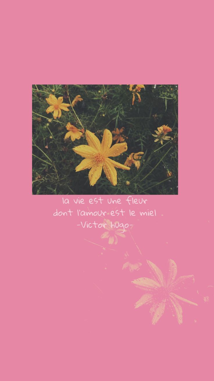 736x1308 Life is the flower of which love is the honey, Victor Hugo