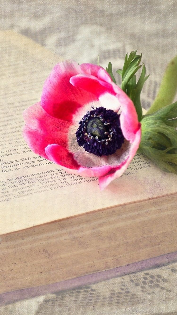 750x1334 Wallpaper / Man Made Book Phone Wallpaper, Poppy, Andre Morois, Flower, Victor Hugo, Dream, 750x1334 free download