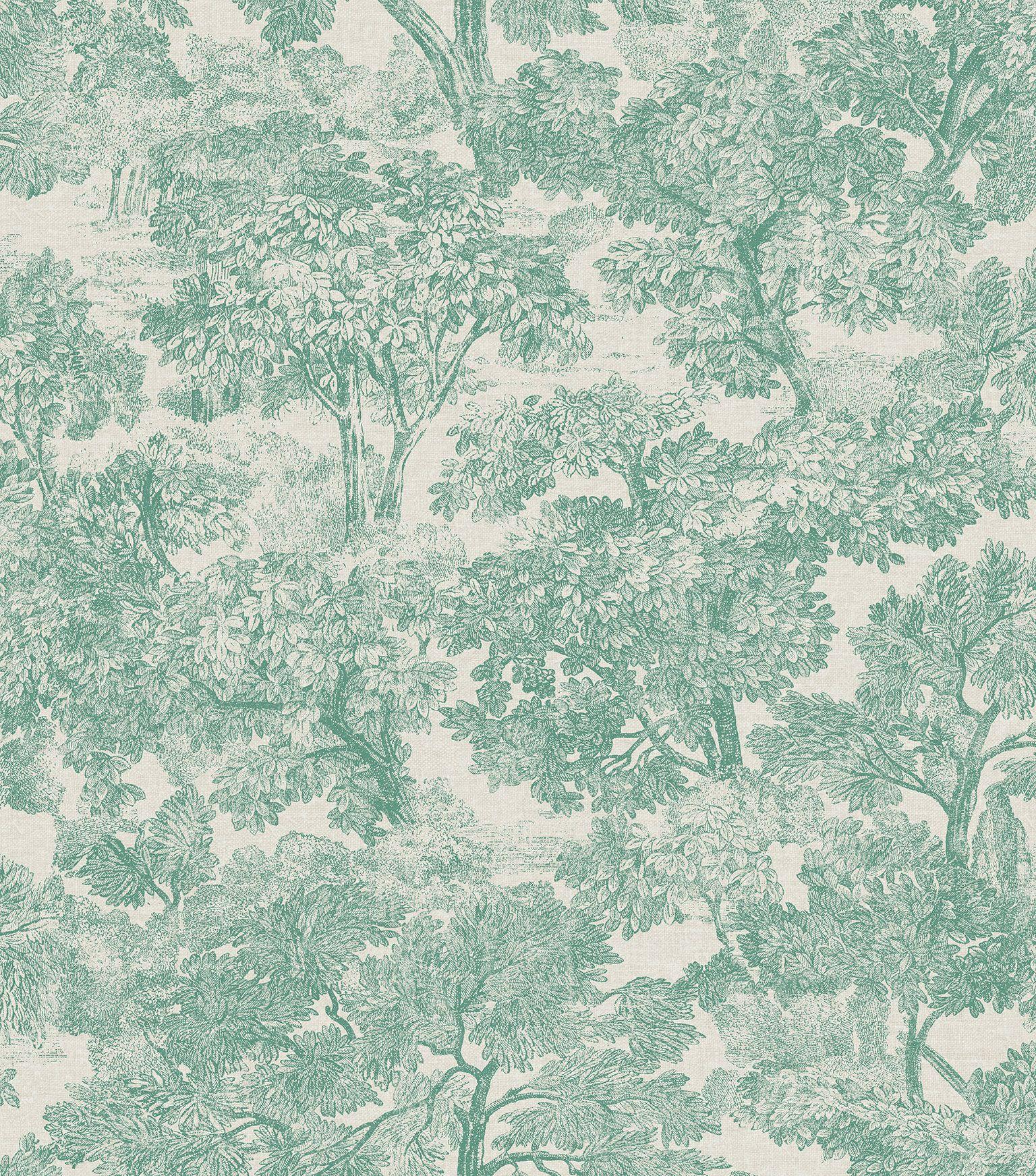 Light Green Sage Green Aesthetic Wallpaper Laptop