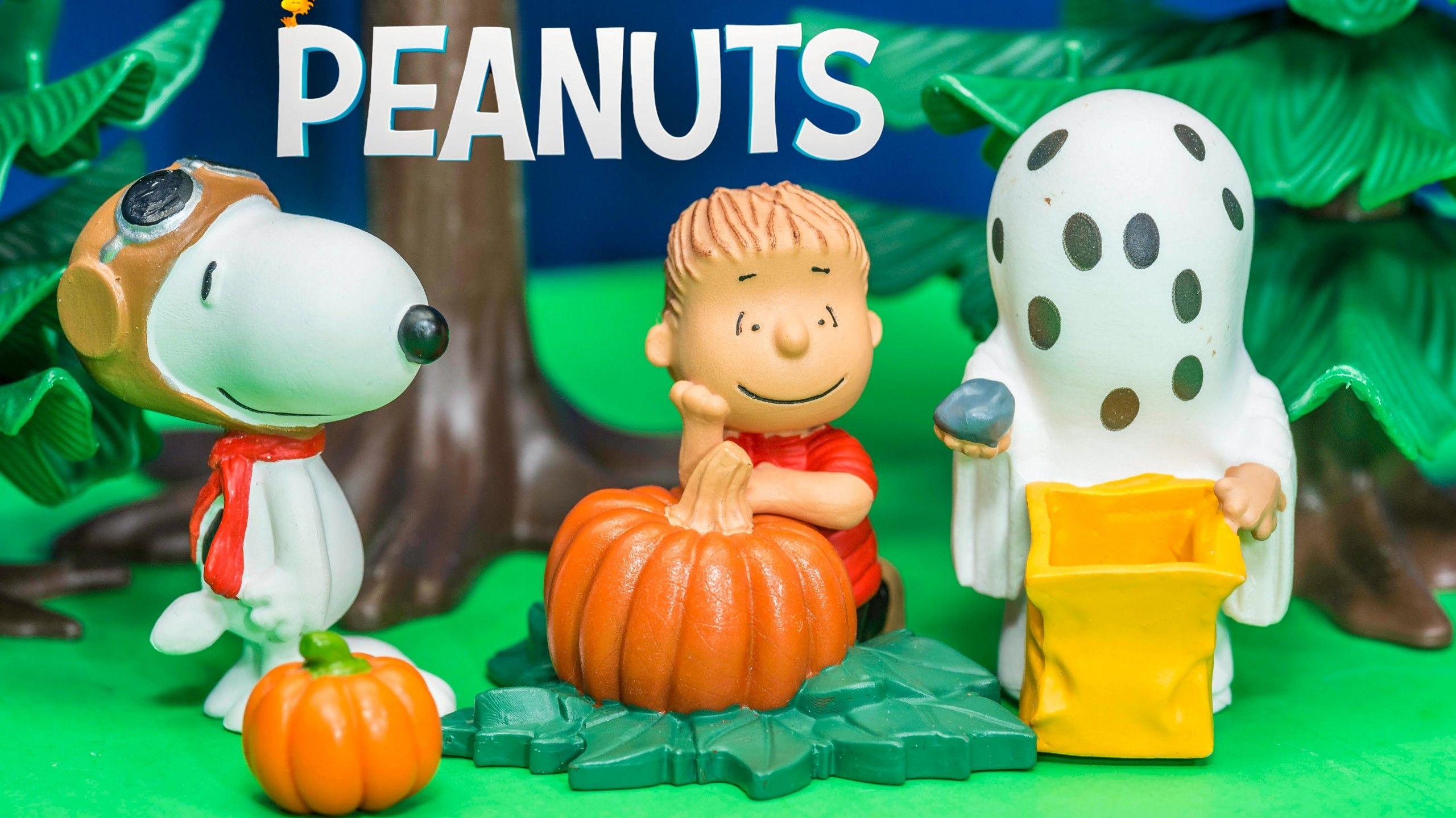 2560x1440 Download Wallpaper 2560x1440 Charlie brown christmas history