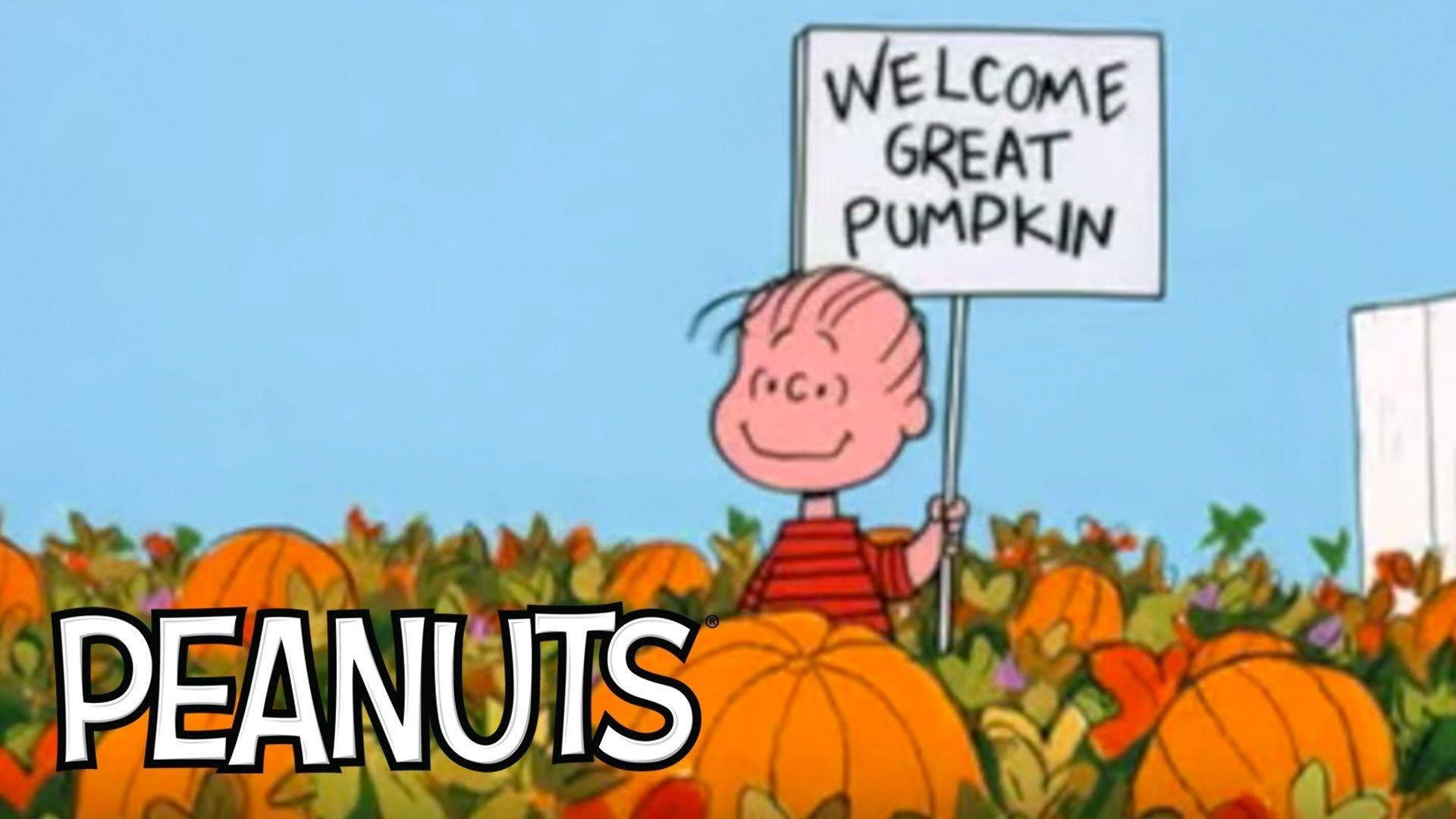 1920x1080 Charlie Brown Christmas Desktop Wallpaper