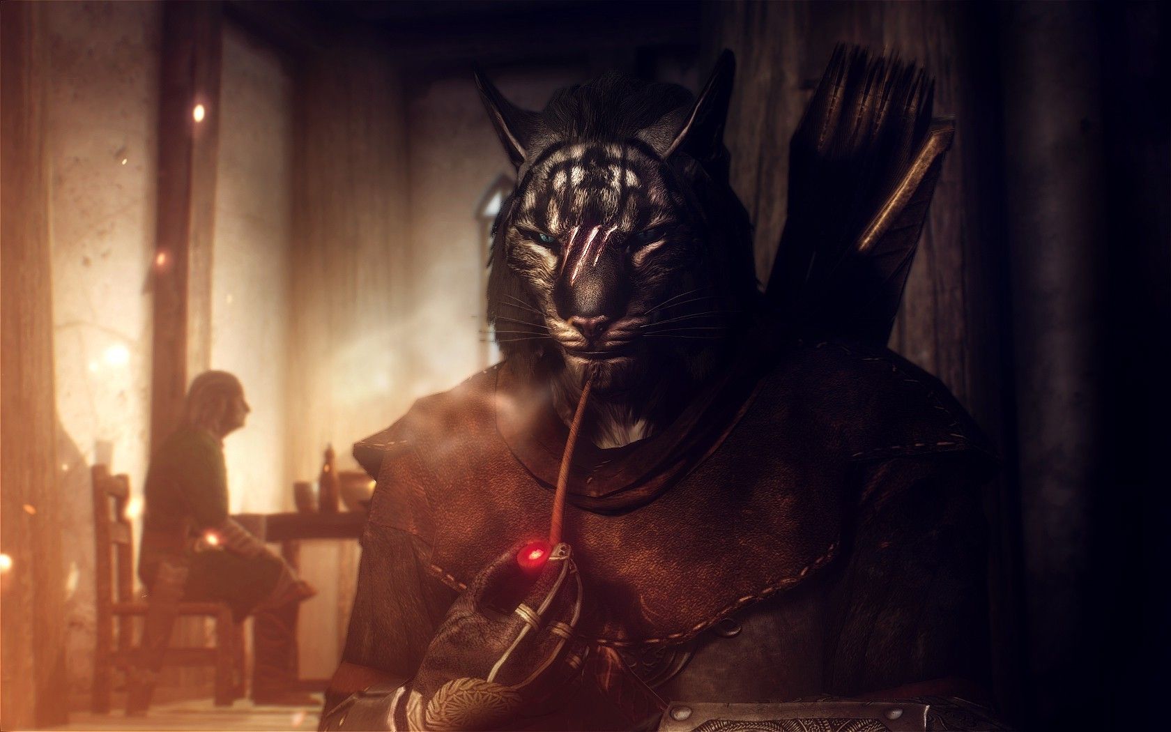 1680x1050 1680x1050 the elder scrolls v skyrim cat khajiit wallpaper JPG 237 kB Gallery HD Wallpaper