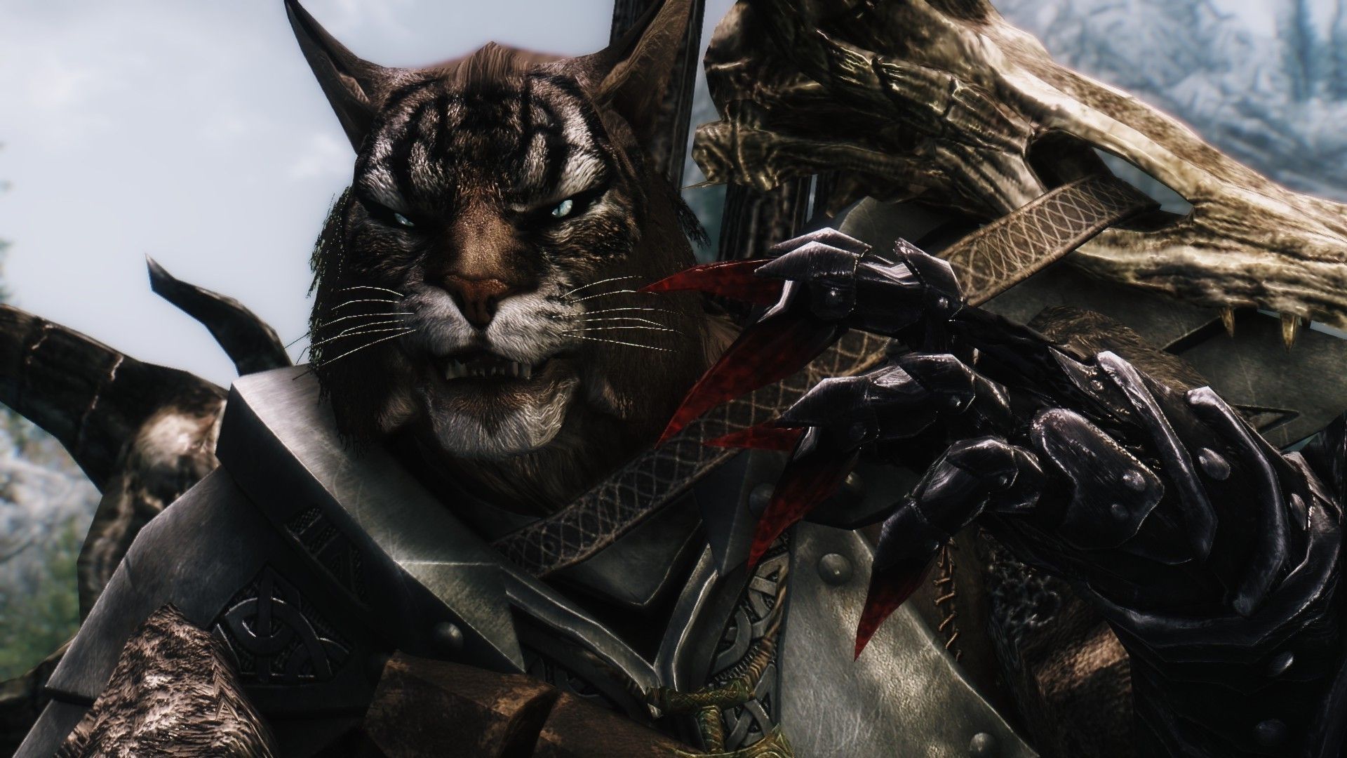 1920x1080 1920x1080 the elder scrolls v skyrim khajiit blood artwork wallpaper JPG 385 kB Gallery HD Wallpaper