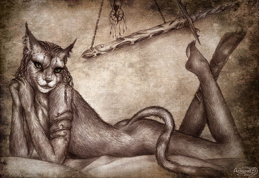 1079x741 Free download skyrim skyrim beautiful image immagine femmina khajiit kahjiit [1079x741] for your Desktop, Mobile & Tablet. Explore Skyrim Wallpaper. Skyrim Wallpaper, Skyrim Map Wallpaper, Skyrim Background