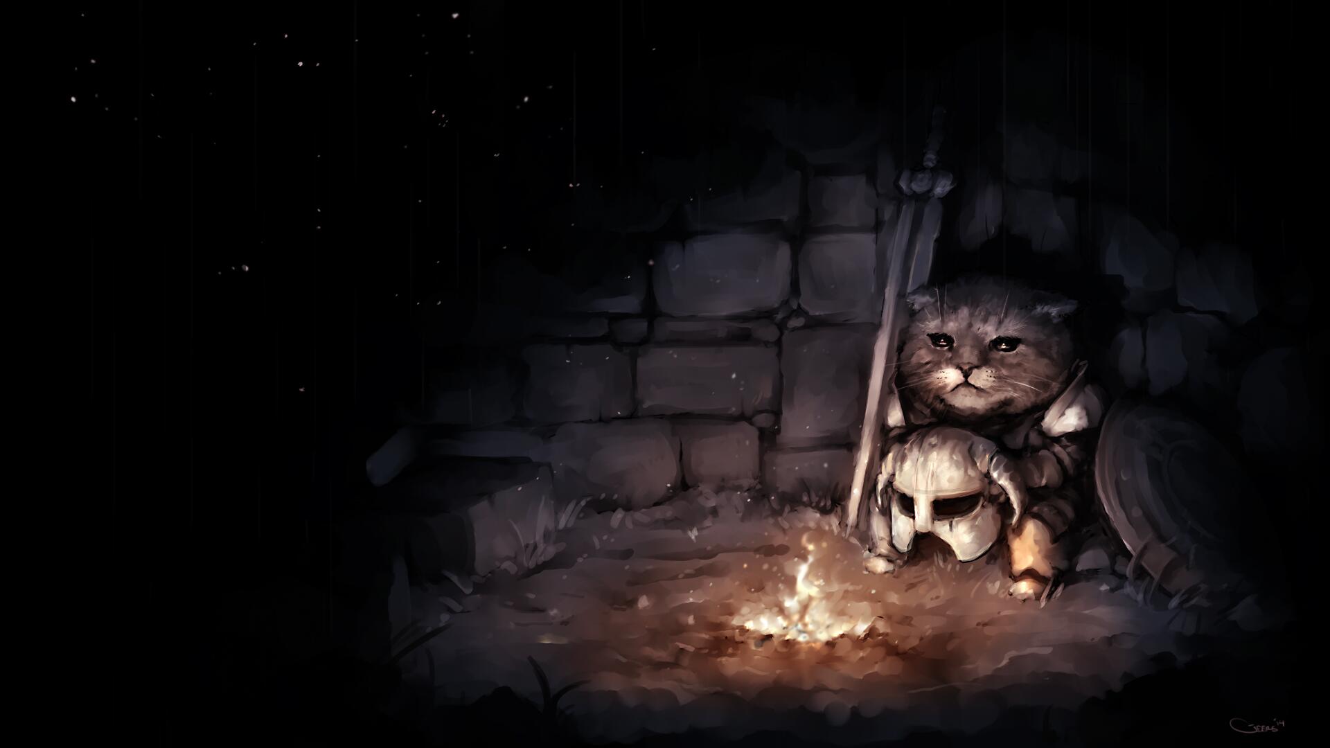 1920x1080 The Elder Scrolls - illustrates being a #Khajiit, when Elsweyr is so warm and Skyrim is so cold