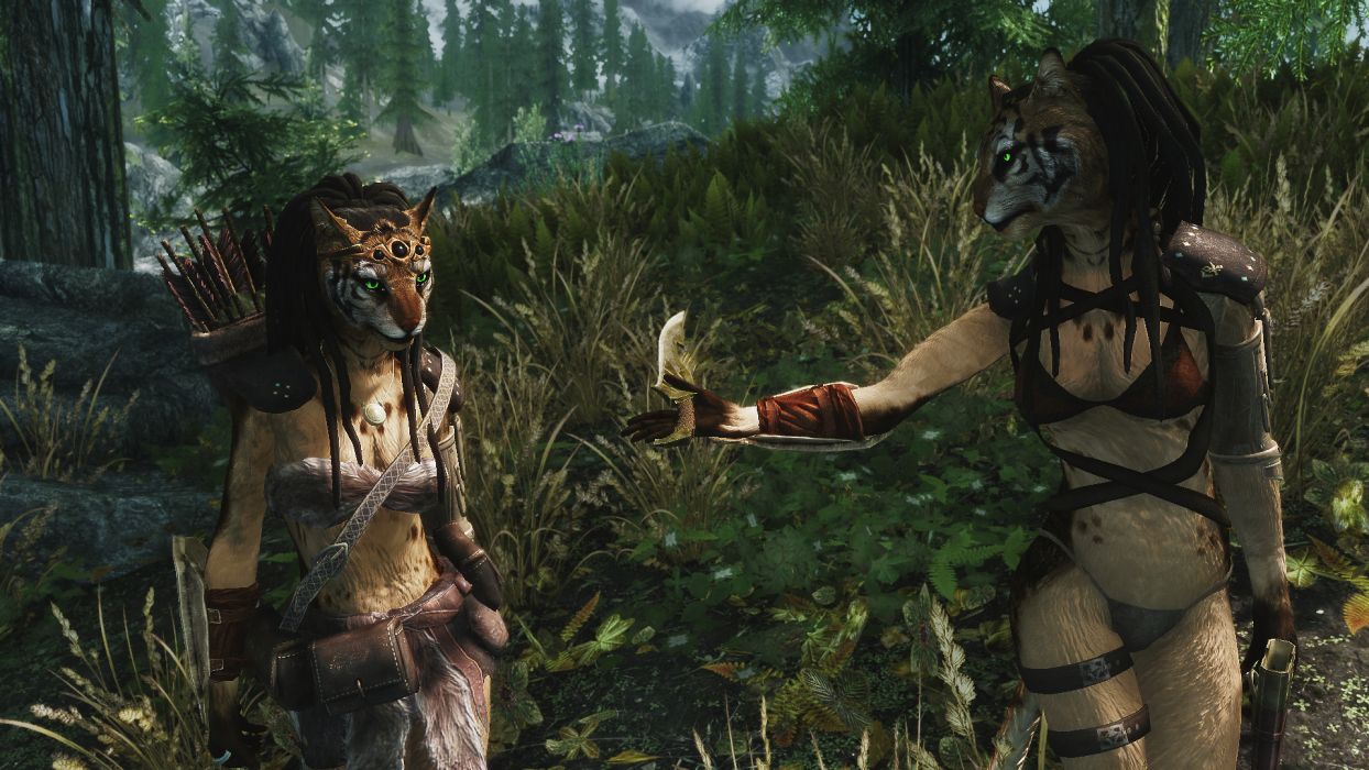 1244x700 Khajiit Wallpaper