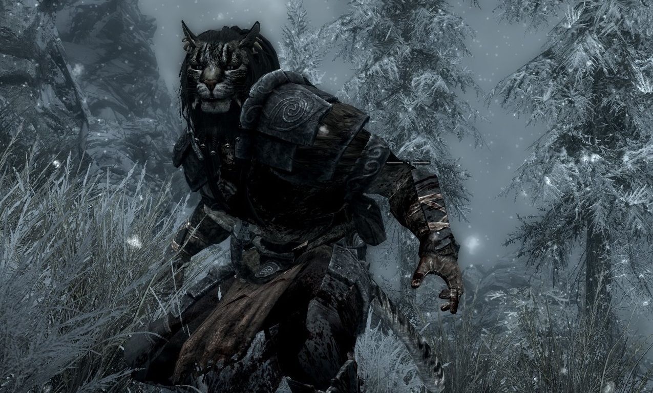 1275x768 An Ace Race: Khajiit
