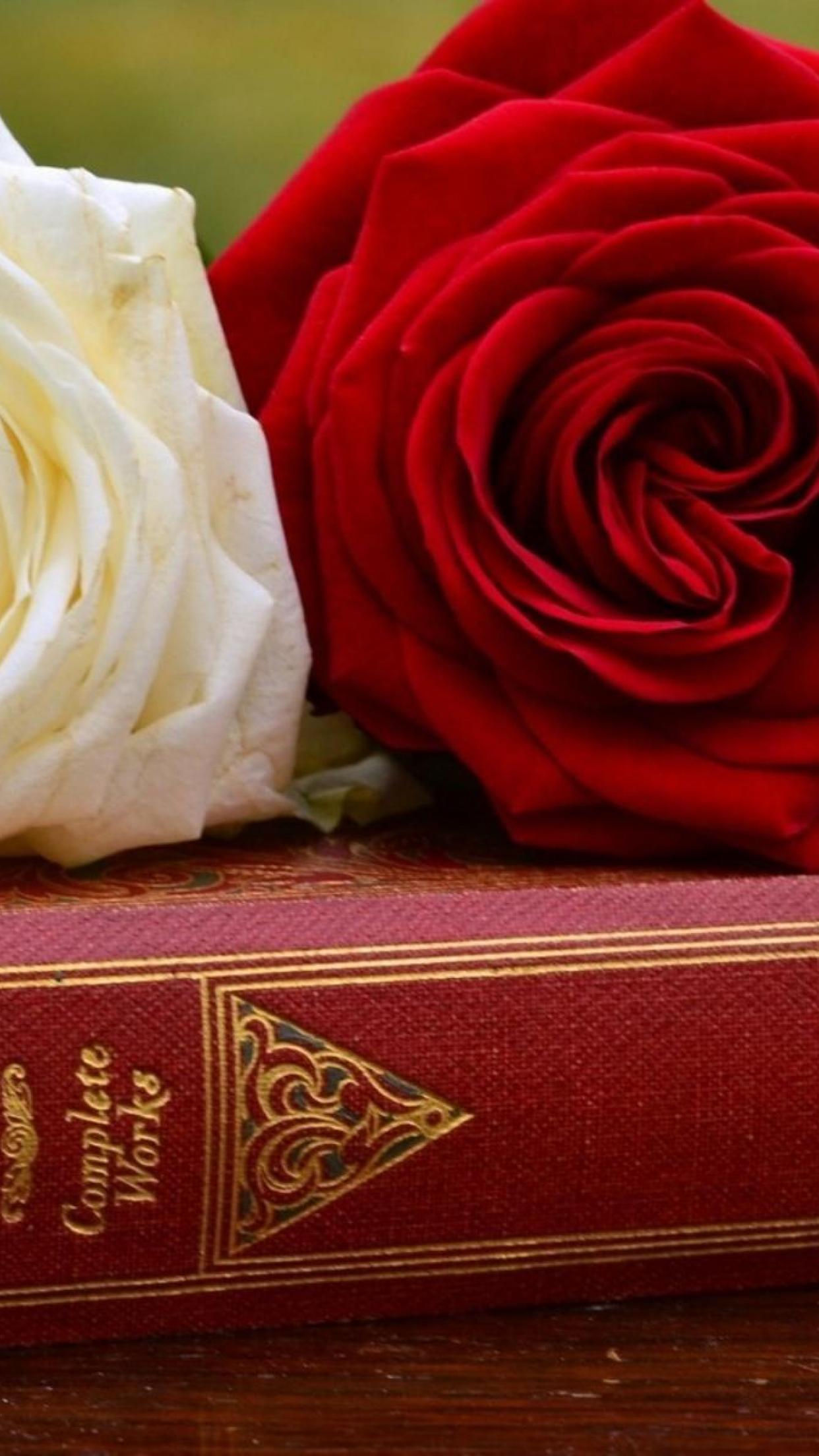 Books and Rose iPhone Wallpapers - Top Free Books and Rose iPhone