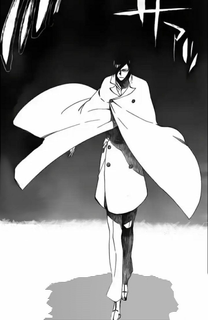 720x1105 Bleach Mangá