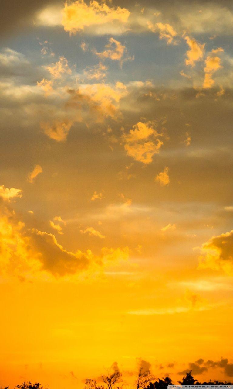 768x1280 Gold Sunset Sky ❤ 4K HD Desktop Wallpaper for • Wide & Ultra