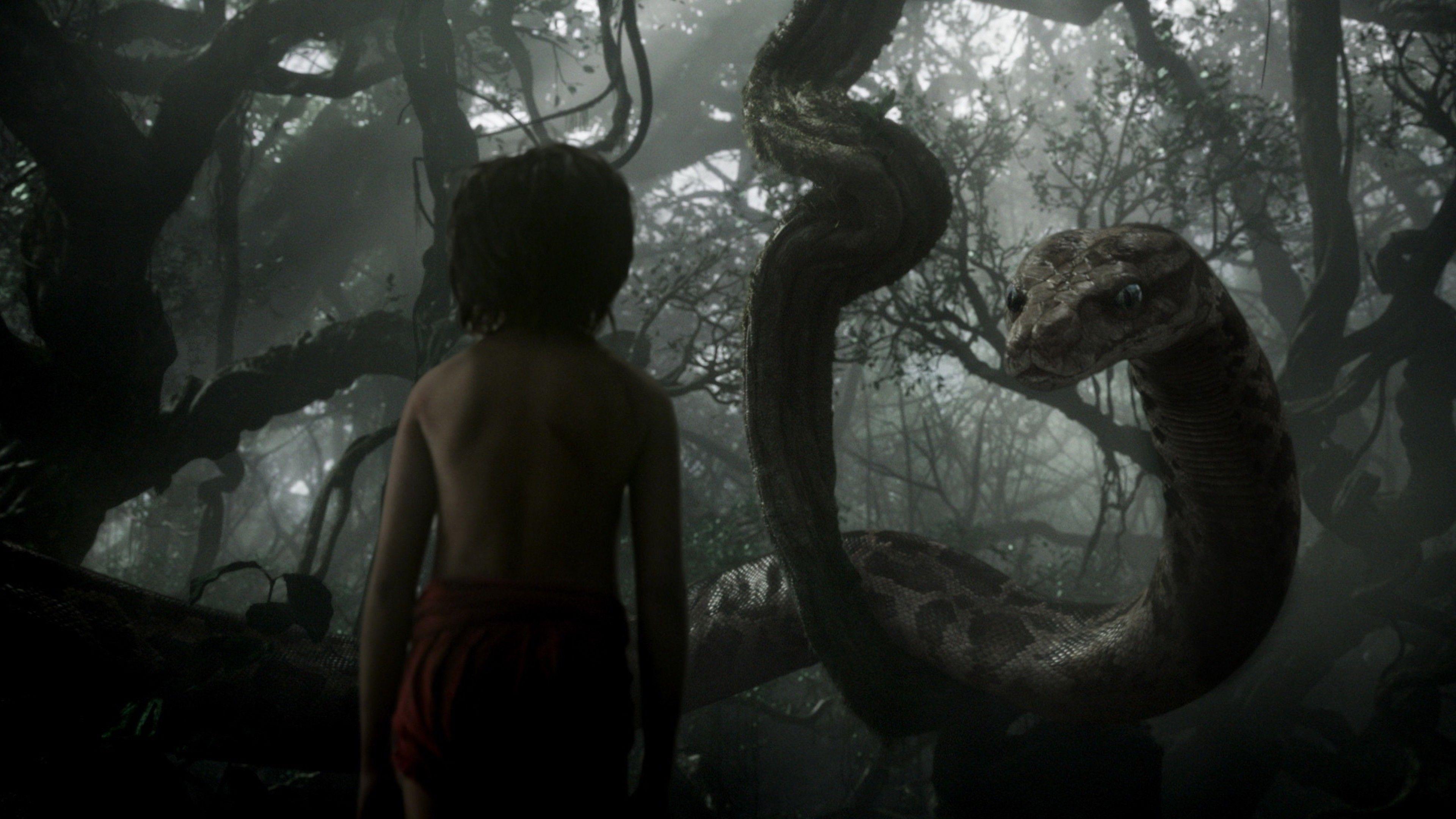 3840x2160 Wallpaper The Jungle Book, Mowgli, Kaa, adventure, fantasy, Best movie of Movies