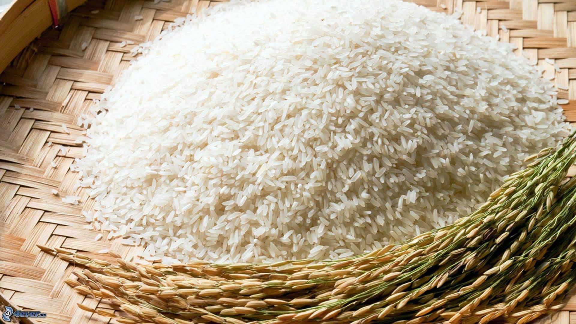 1920x1080 Rice Wallpaper
