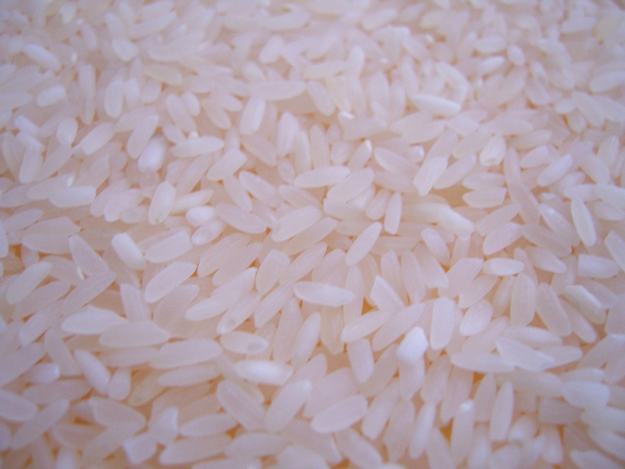 2560x1920 Rice HD Wallpaper