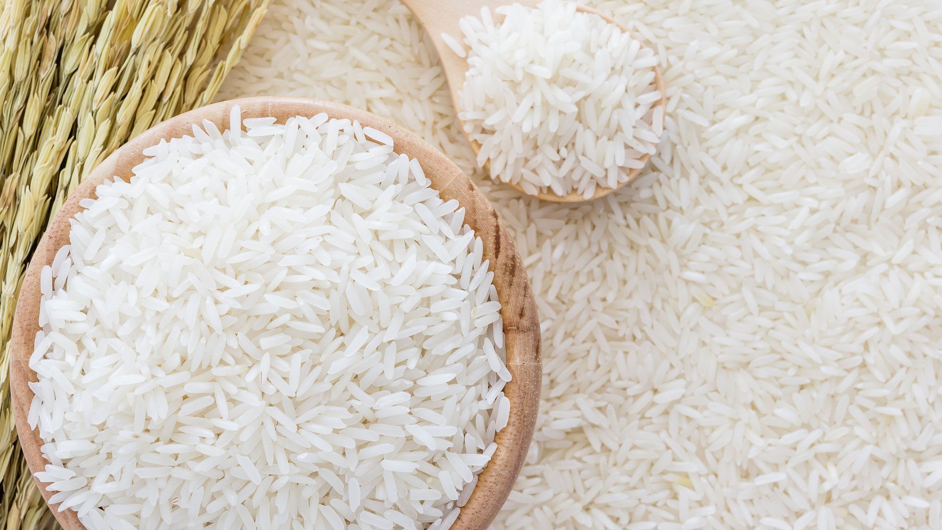 1920x1080 Rice Wallpaper