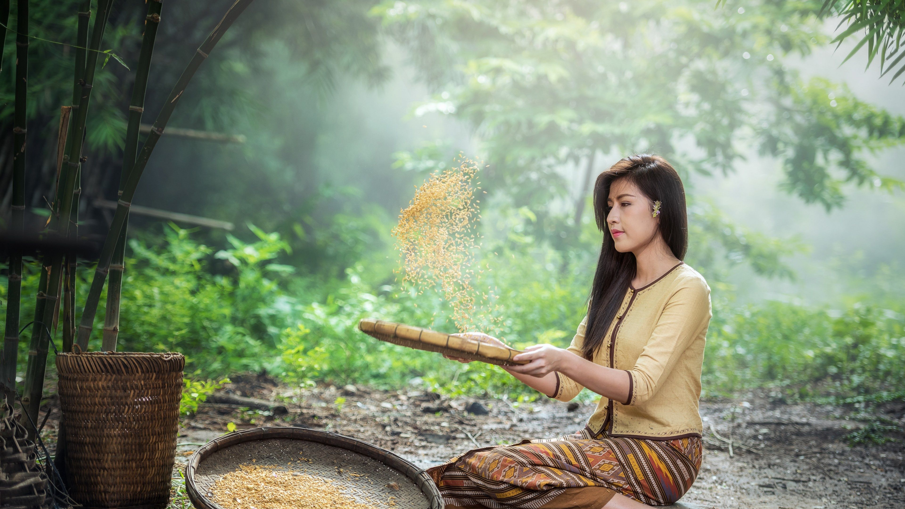 3840x2160 Wallpaper / rice sow adult ancient asia the job pretty 4k wallpaper free download