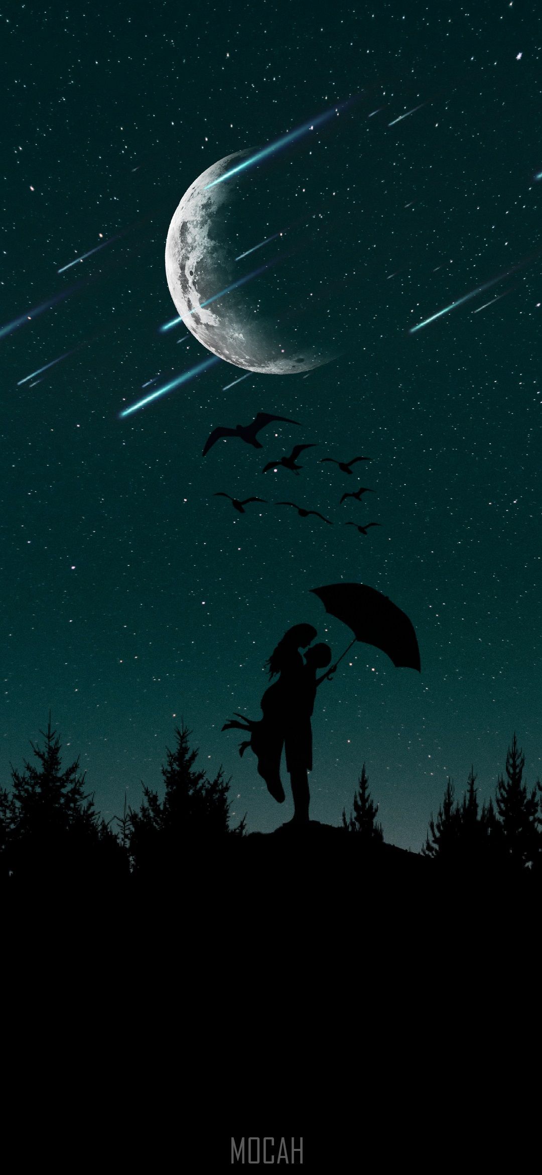1080x2340 Moon, Silhouette, Romance, Night, Crescent, Huawei P Smart 2019 screensaver hd, 1080x2340 Gallery HD Wallpaper