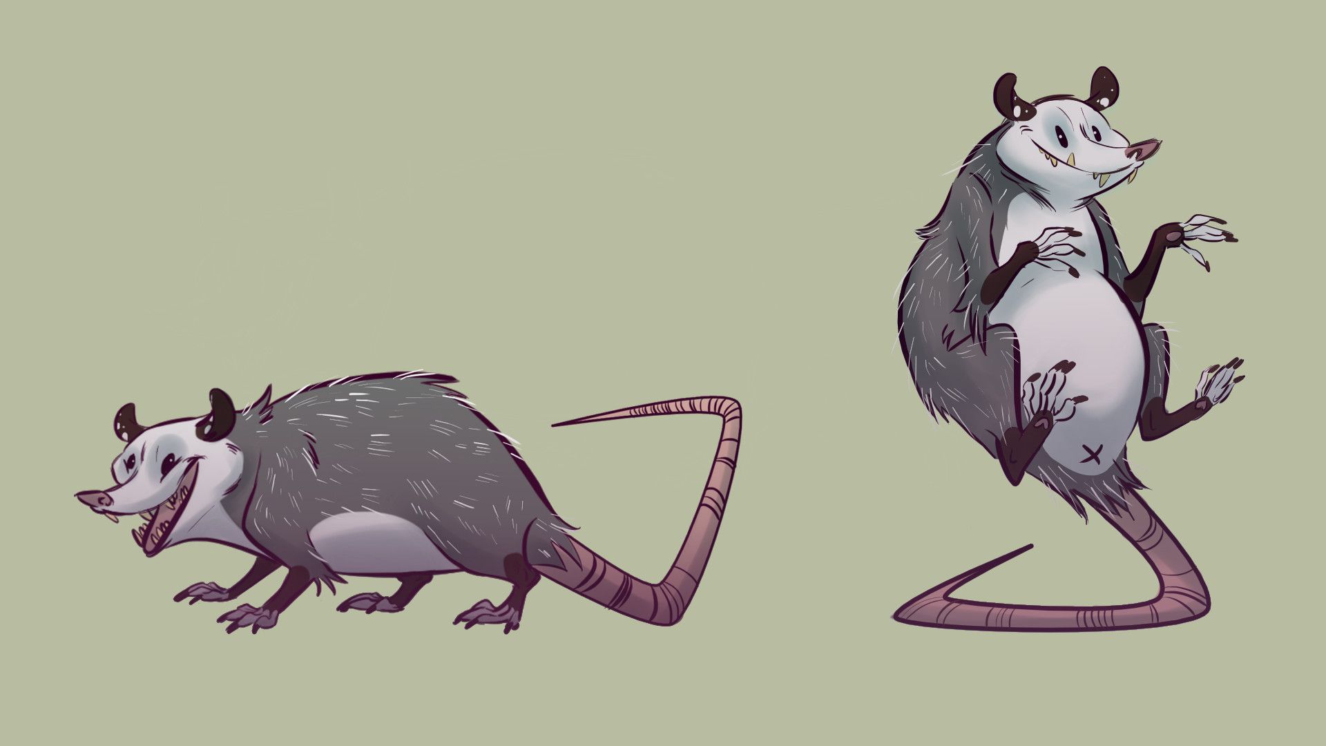 1920x1080 Opossum