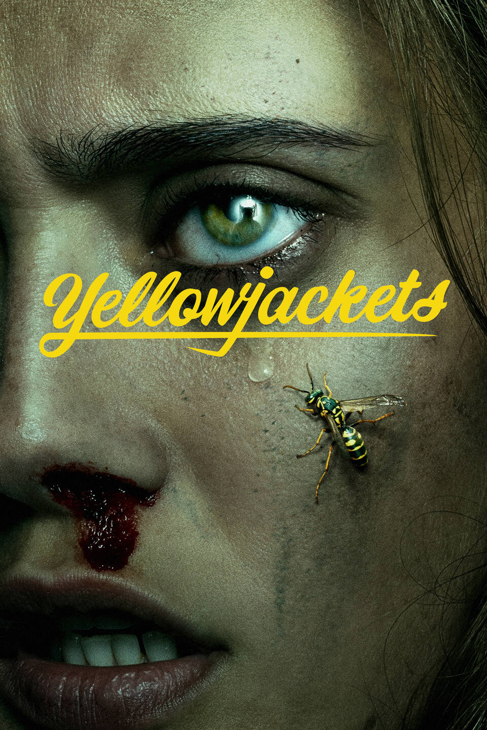 Yellowjackets wallpapers top free yellowjackets backgrounds