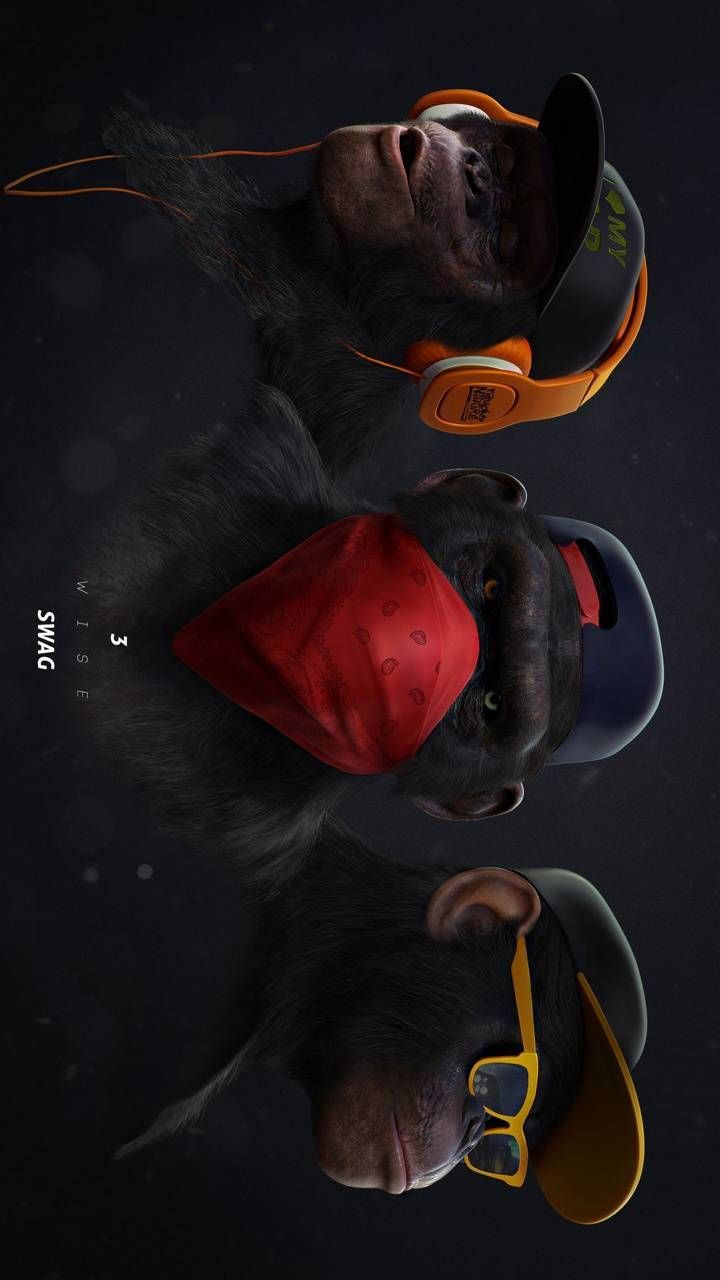 720x1280 Swag Monkey Wallpaper