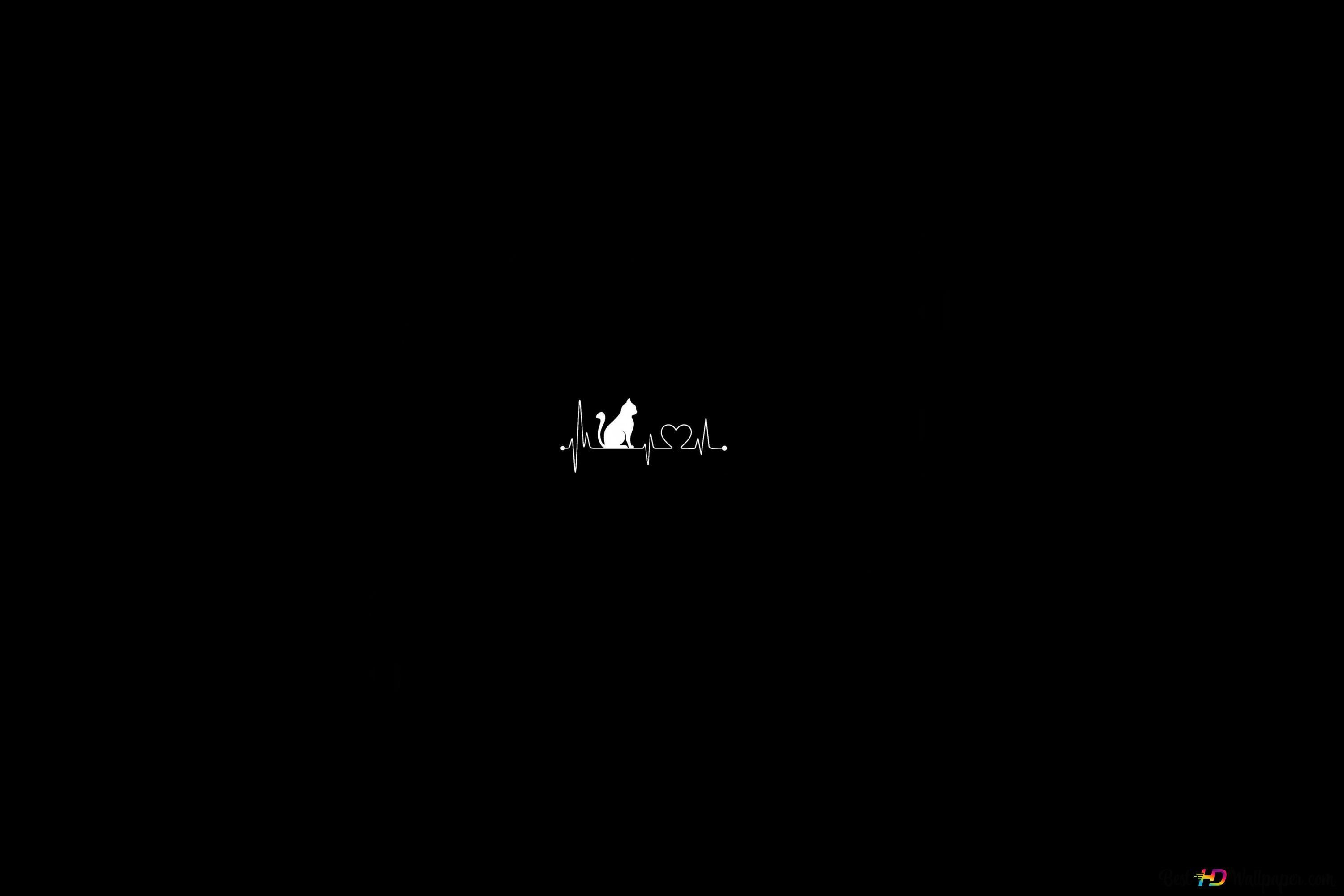 3000x2000 Minimalist cat heart rate 8K wallpaper download