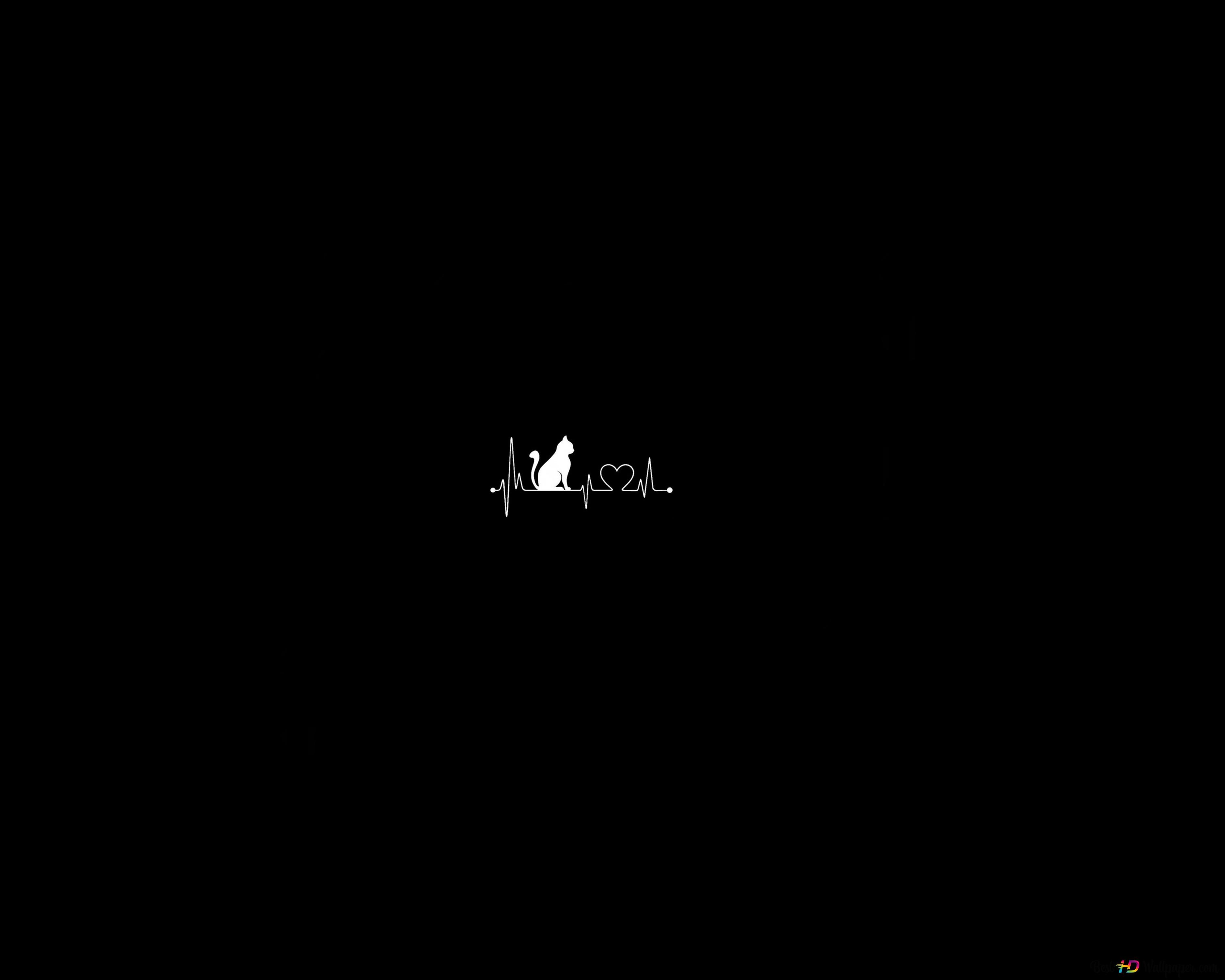 3750x3000 Minimalist cat heart rate 8K wallpaper download