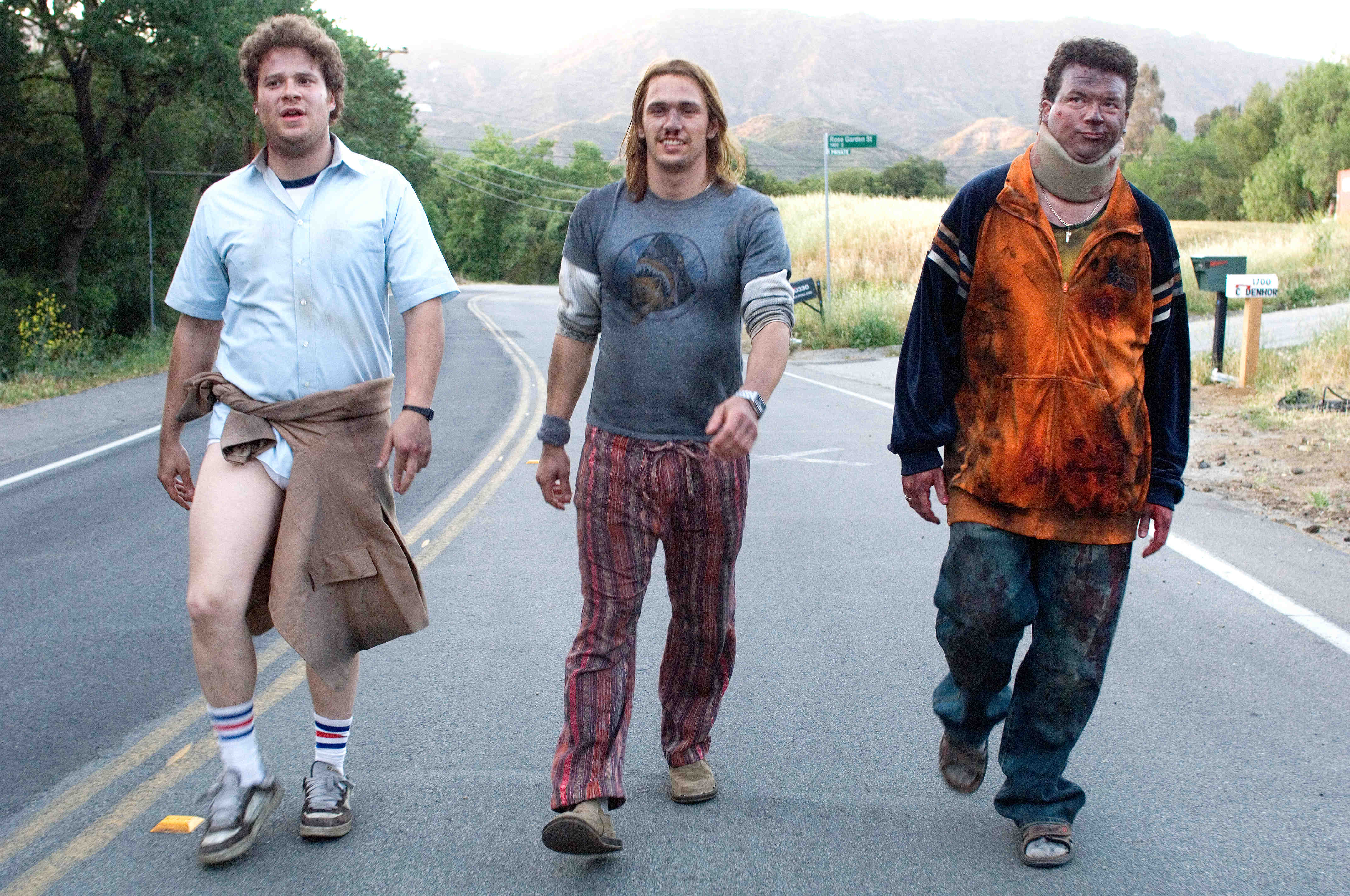 4288x2848 Pineapple Express Picture 11