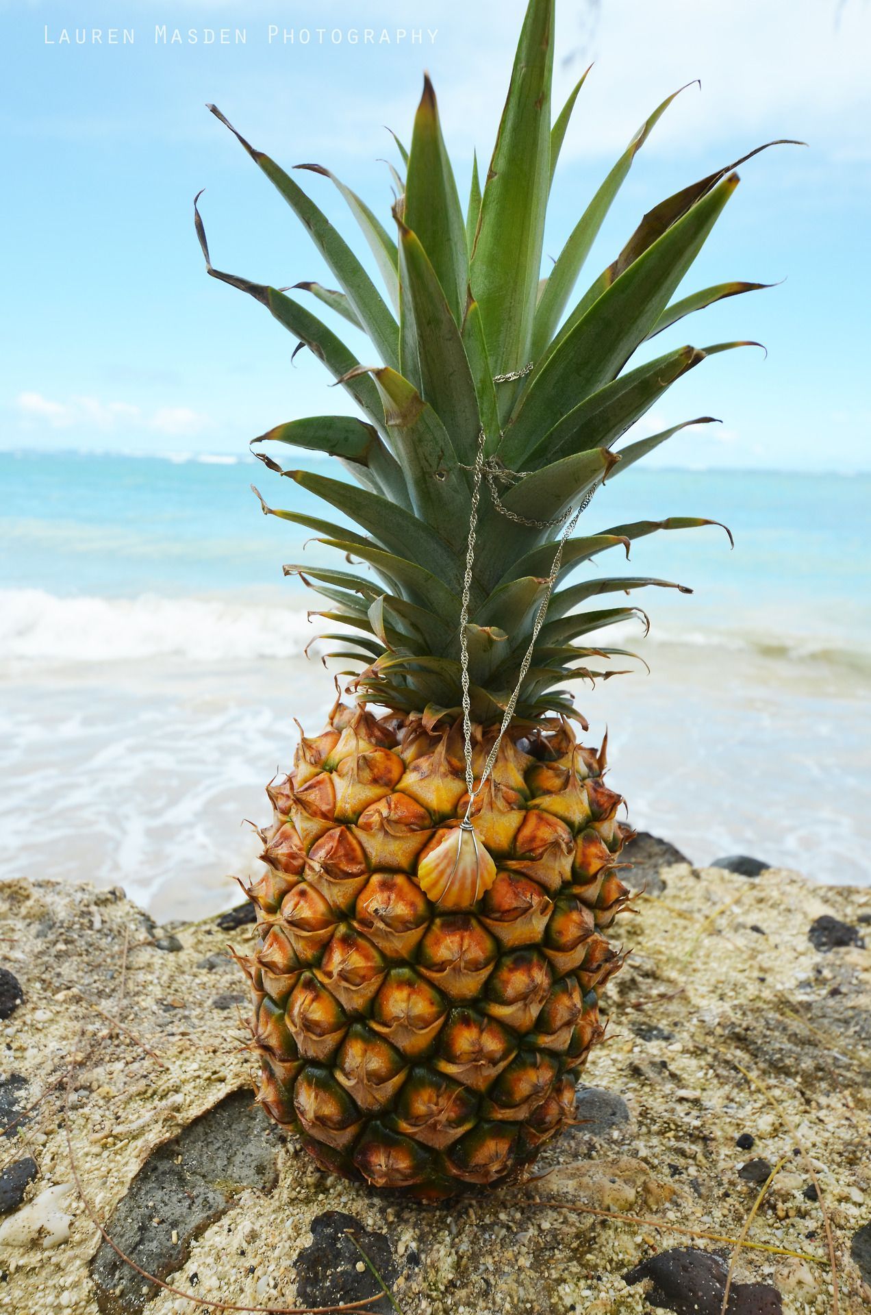 1272x1920 _.) (. : ) (. .) ( :. ) (._.) That's How I Roll Of Emotion:. Pineapple Wallpaper, Pineapple Photography, Pineapple