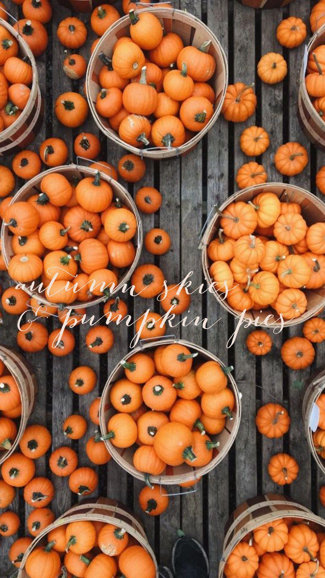 Autumn Pumpkin iPhone Wallpapers - Top Free Autumn Pumpkin iPhone ...