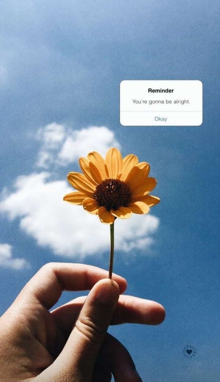 720x1252 Free download Aesthetic Wallpaper on Youre gonna be alright [720x1252] for your Desktop, Mobile & Tablet. Explore May Aesthetic Wallpaper. May Background Wallpaper, May Picture Wallpaper, May Wallpaper