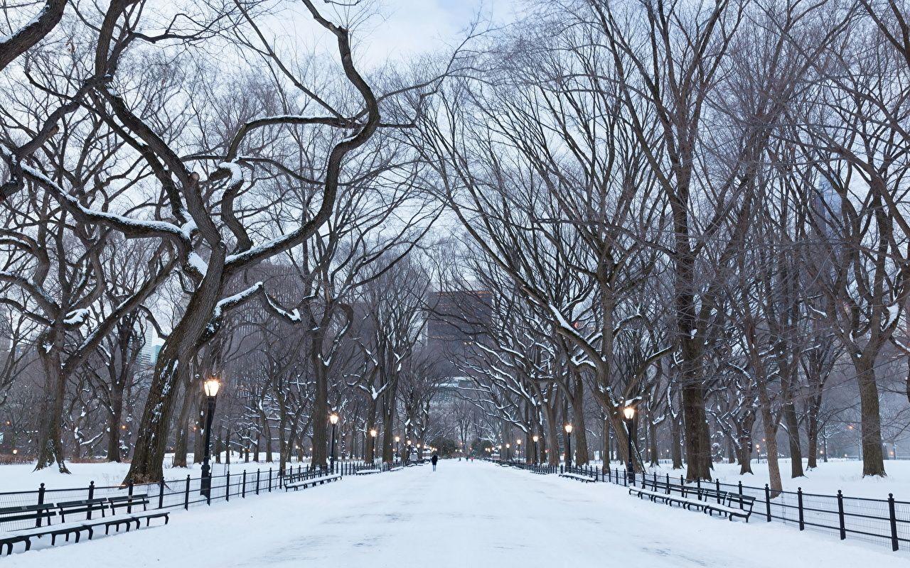 Central Park Winter Background