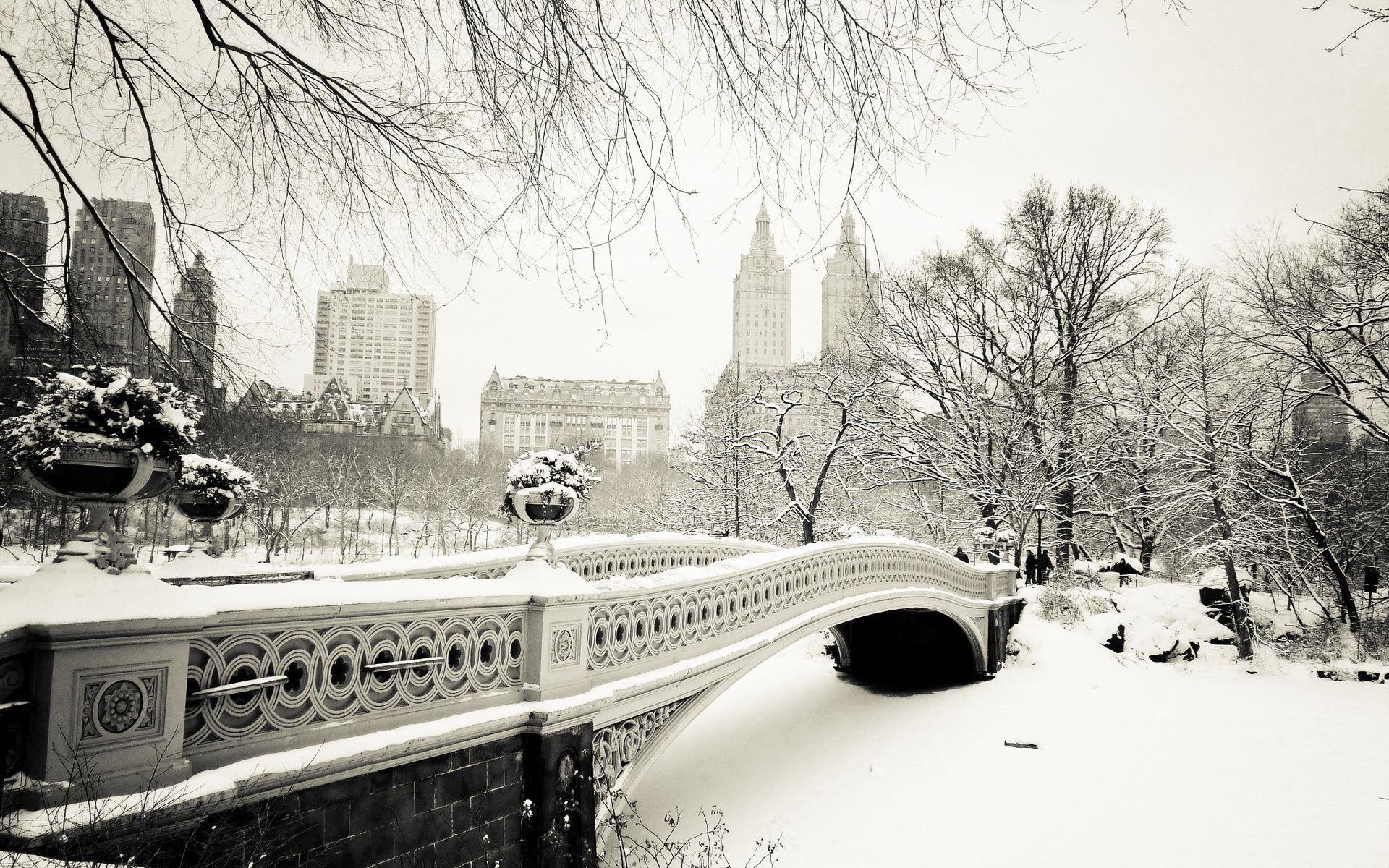 1920x1200 Winter in Central Park wallpaper