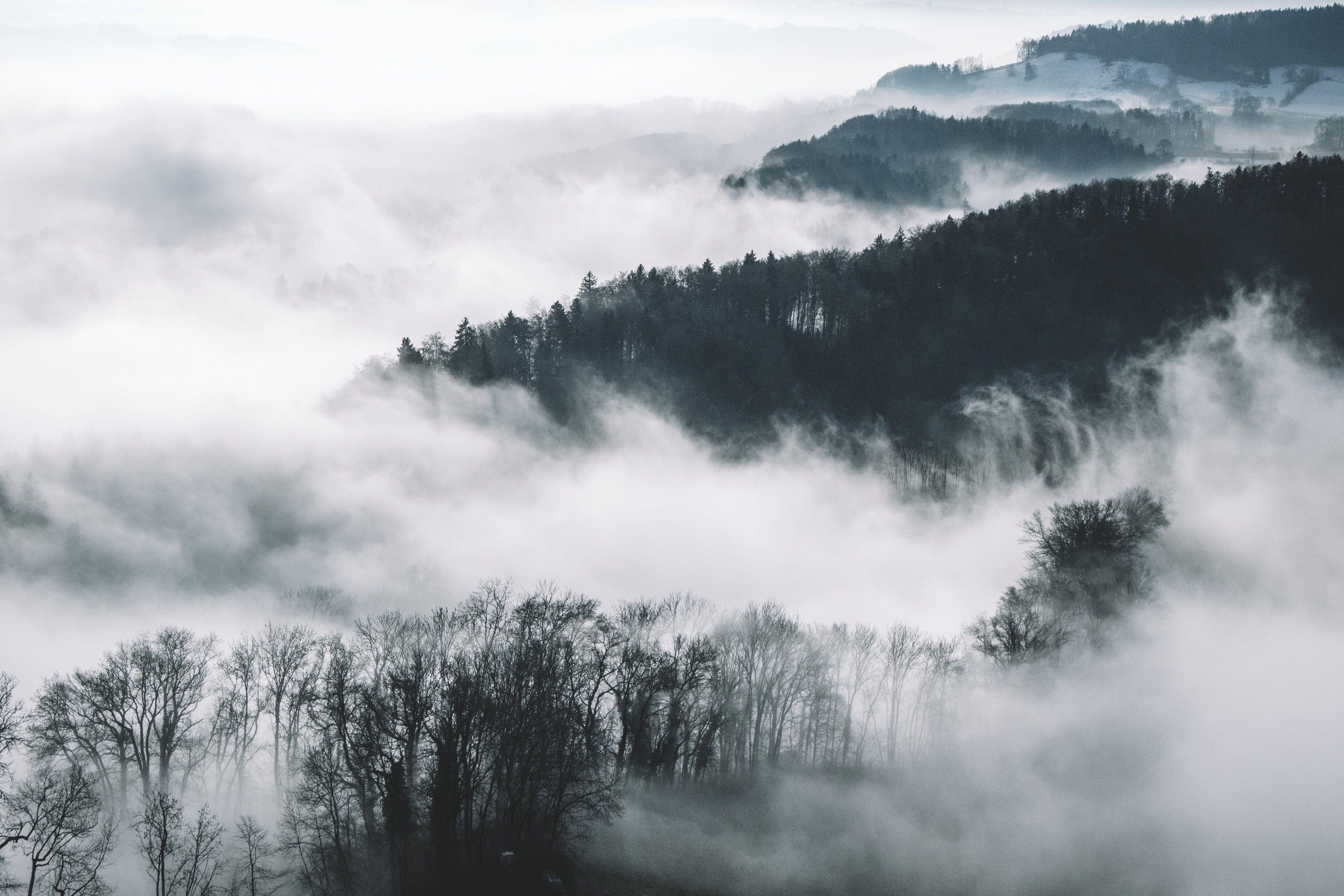 Foggy Mountain Forest Wallpapers Top Free Foggy Mountain Forest