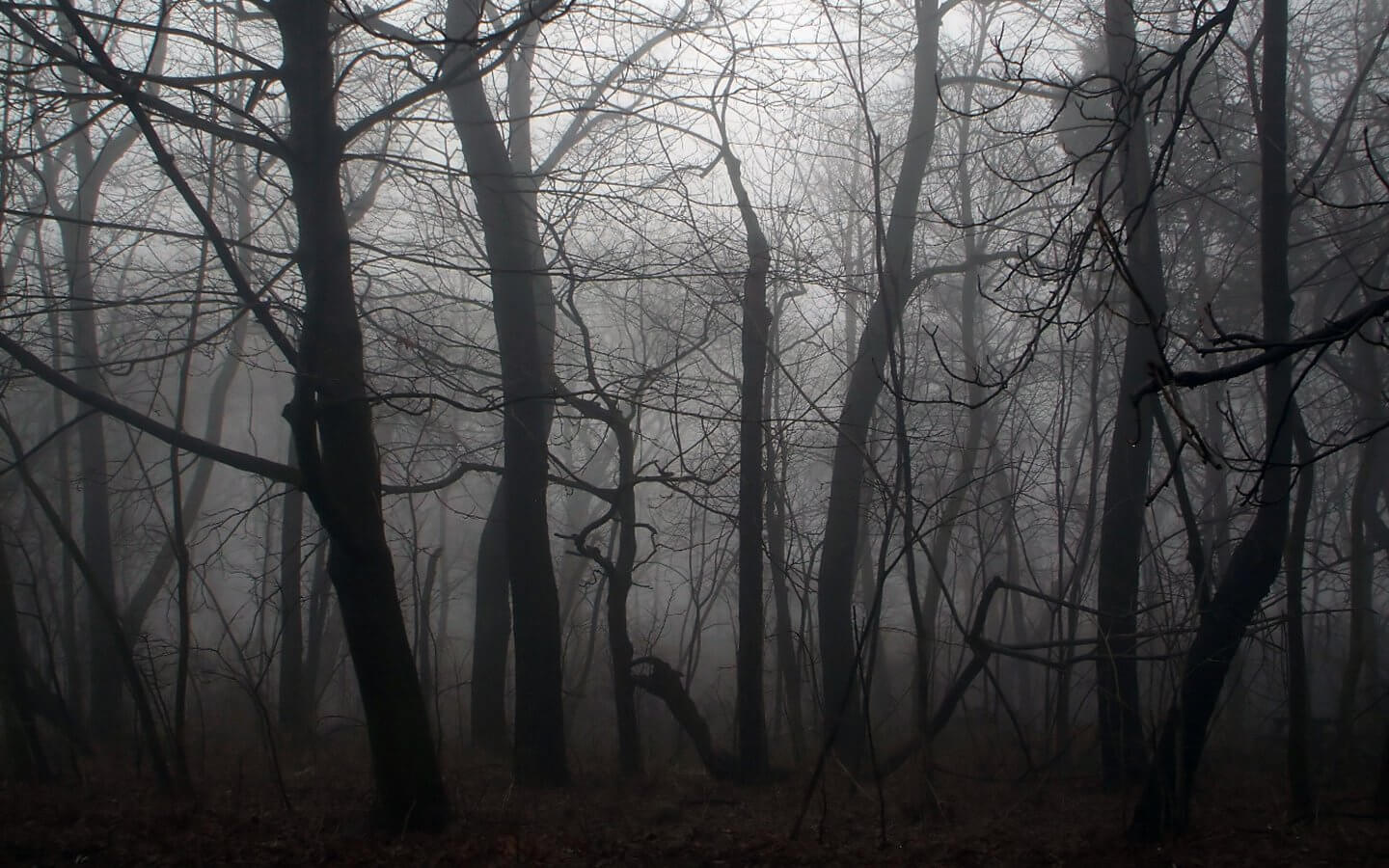1440x900 Bleak Wallpaper