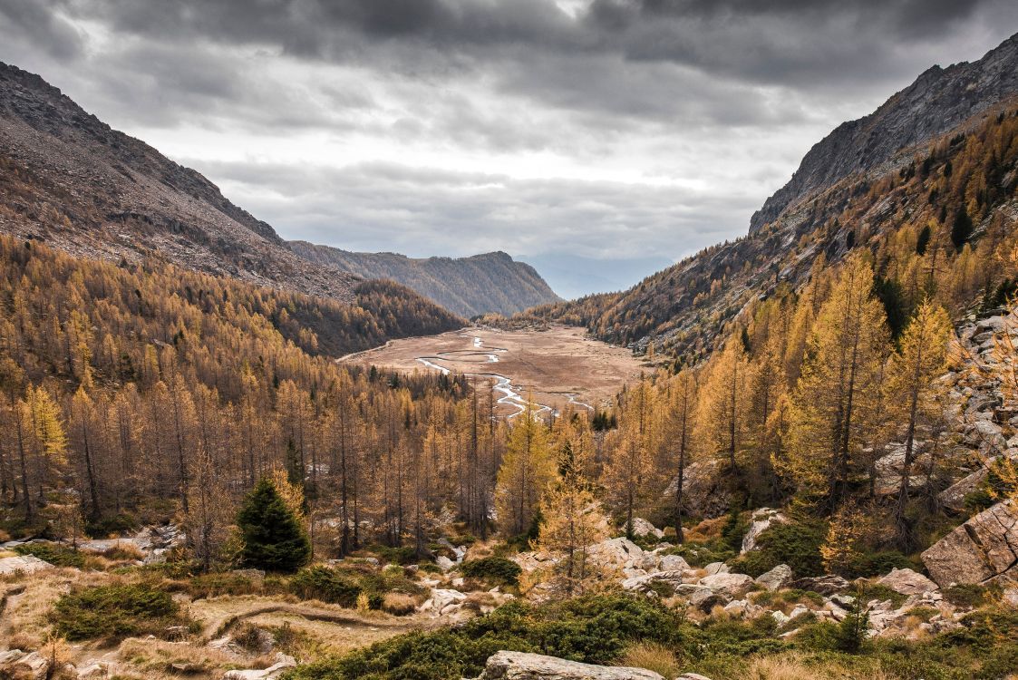 1123x750 Wallpaper Autumn Bleak, Autumn, Nature, Cloud, Plant, Background Free Image